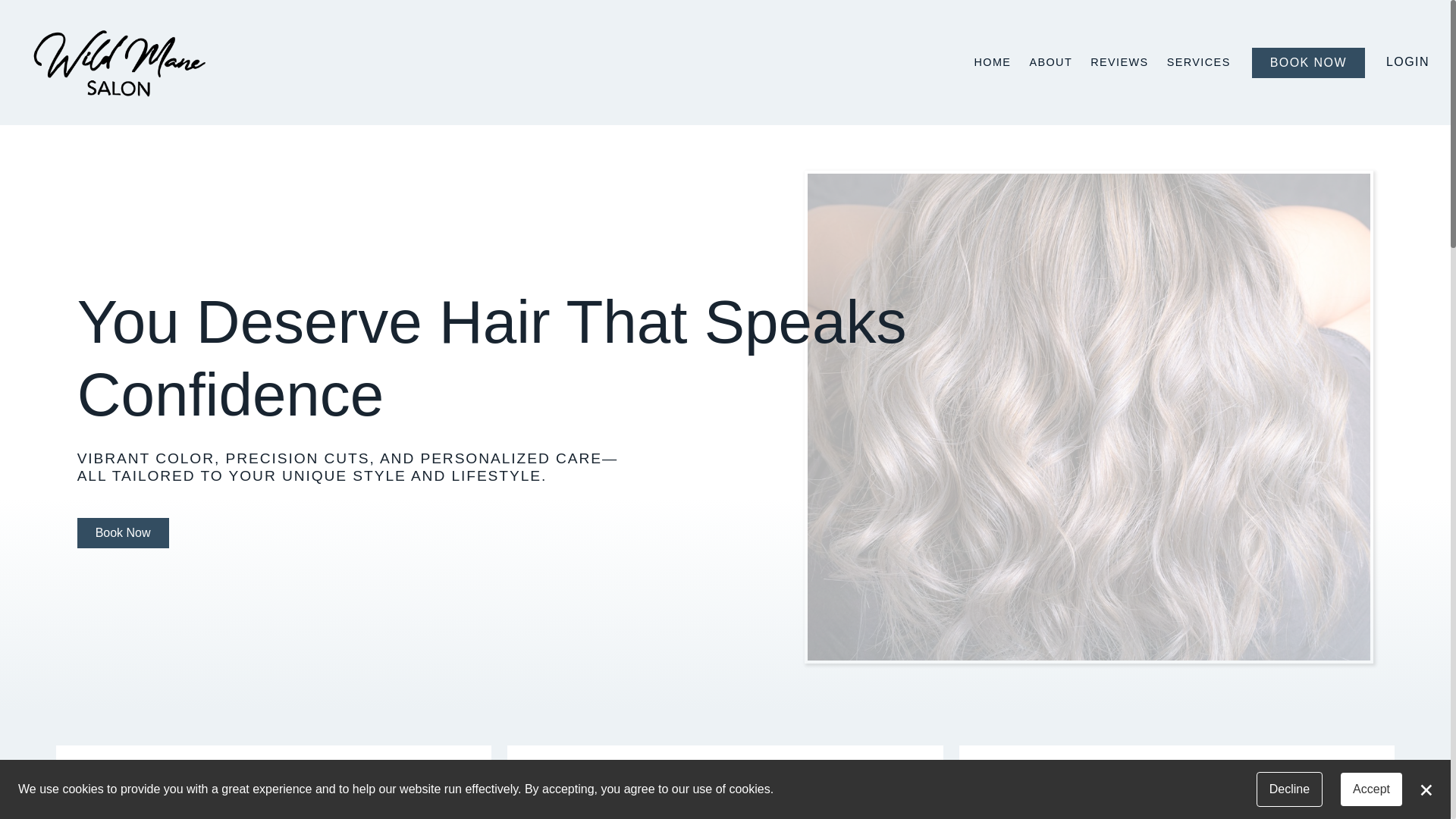 website screenshot of https://wildmanesalonllc.com/