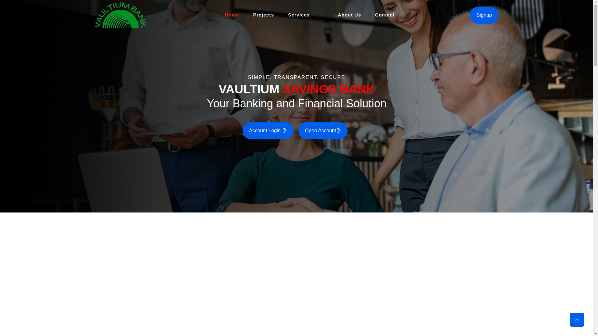 website screenshot of https://vaultiumbk.com/