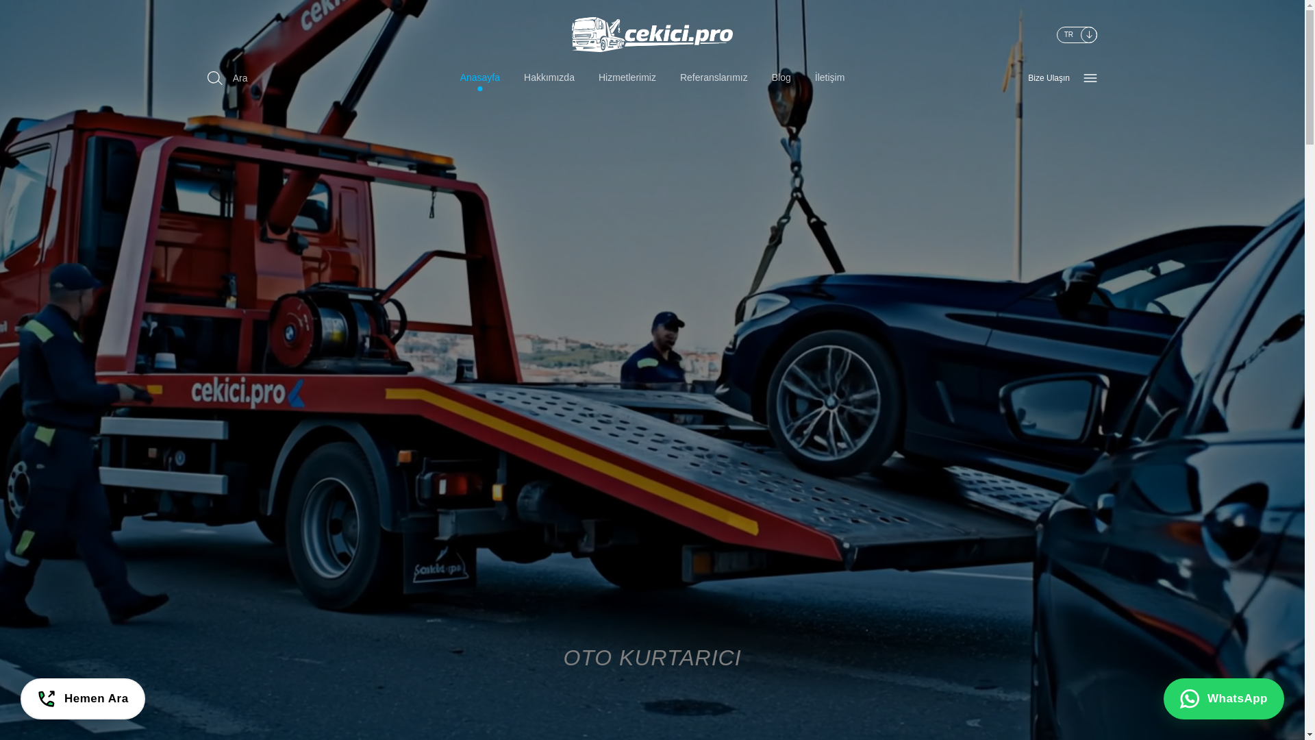 website screenshot of https://alinotocekici.com.tr/