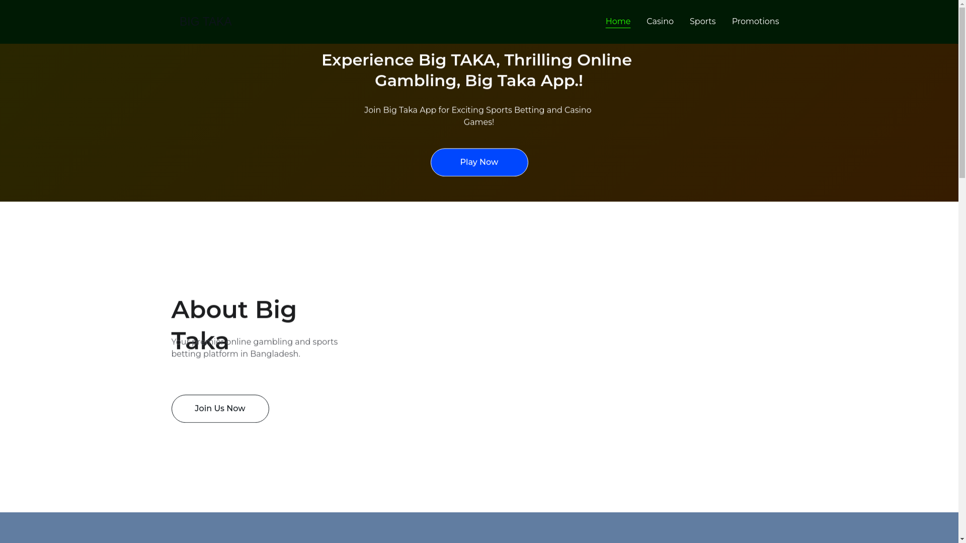 website screenshot of https://bigtakagame.com/