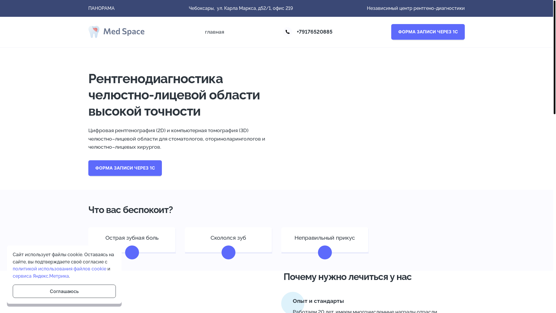 website screenshot of https://panorama-dent.ru/