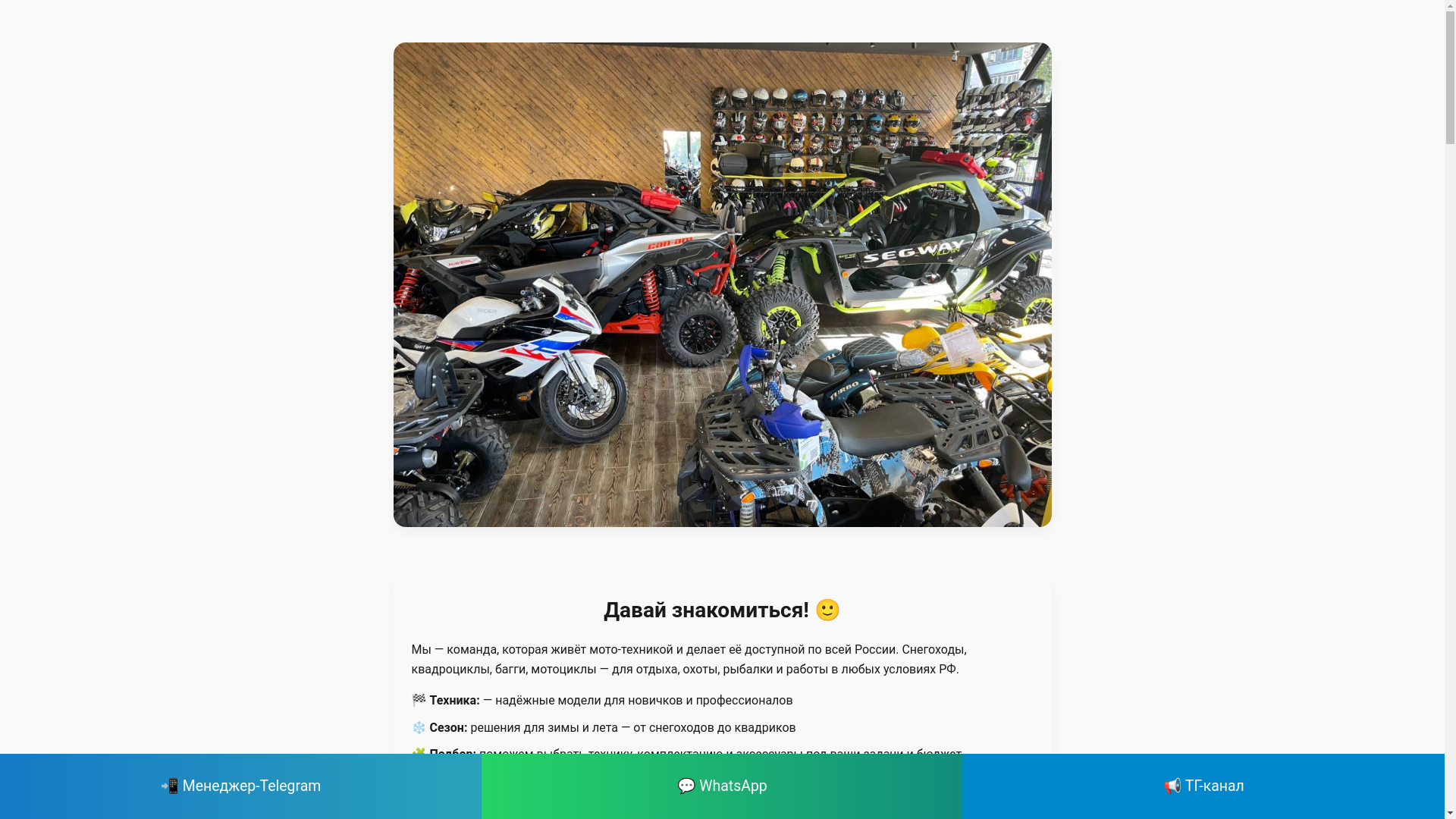 website screenshot of https://moterra-reklama.ru/