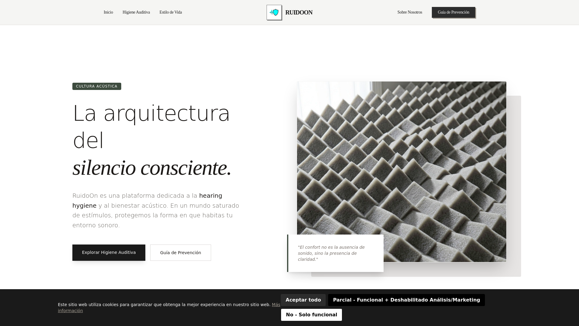 website screenshot of https://ruidoonds.info/