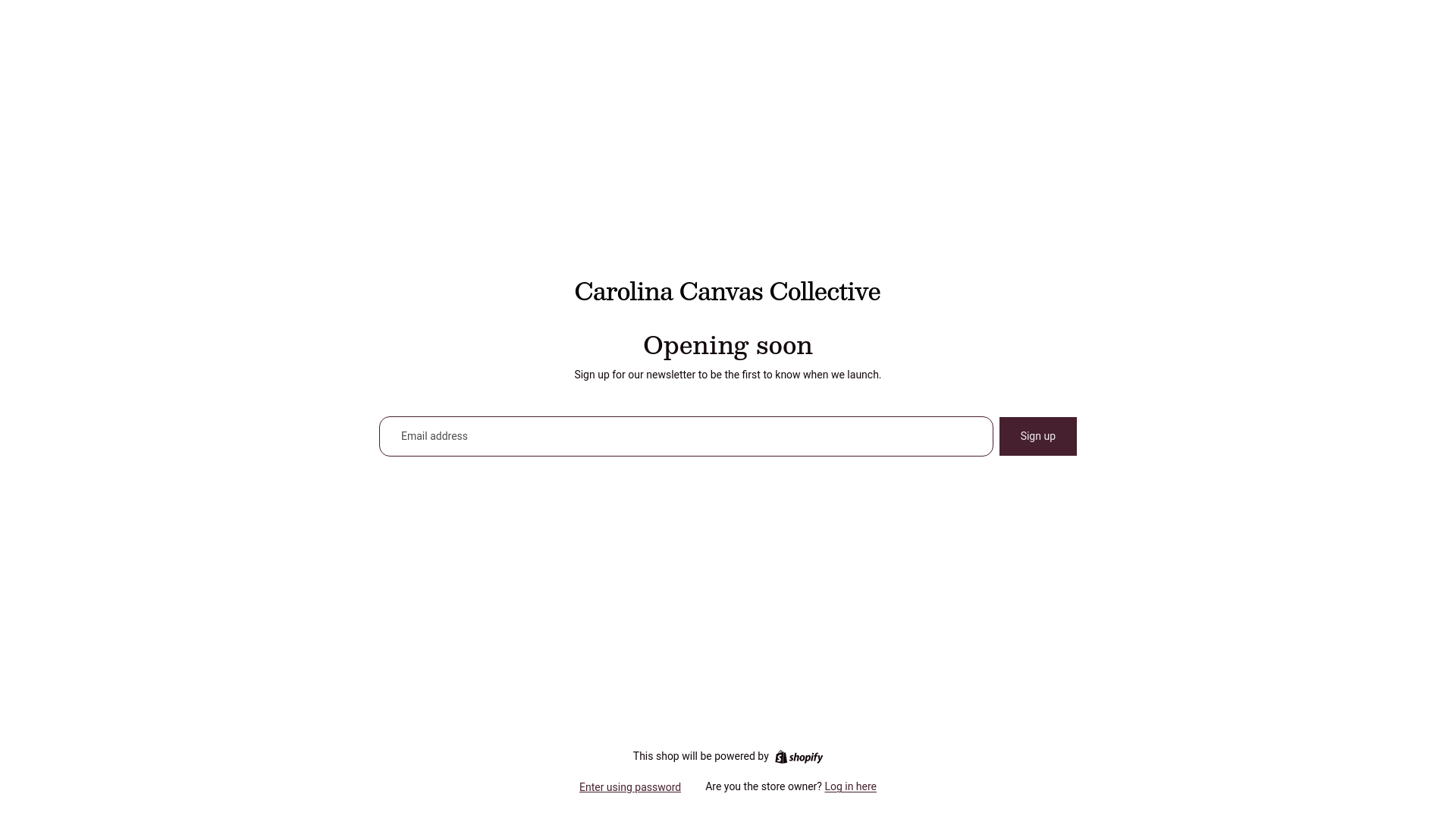 website screenshot of https://carolinacanvascollective.com