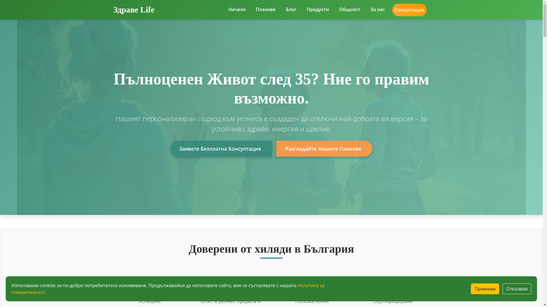 website screenshot of https://zrdavebugzone.com/
