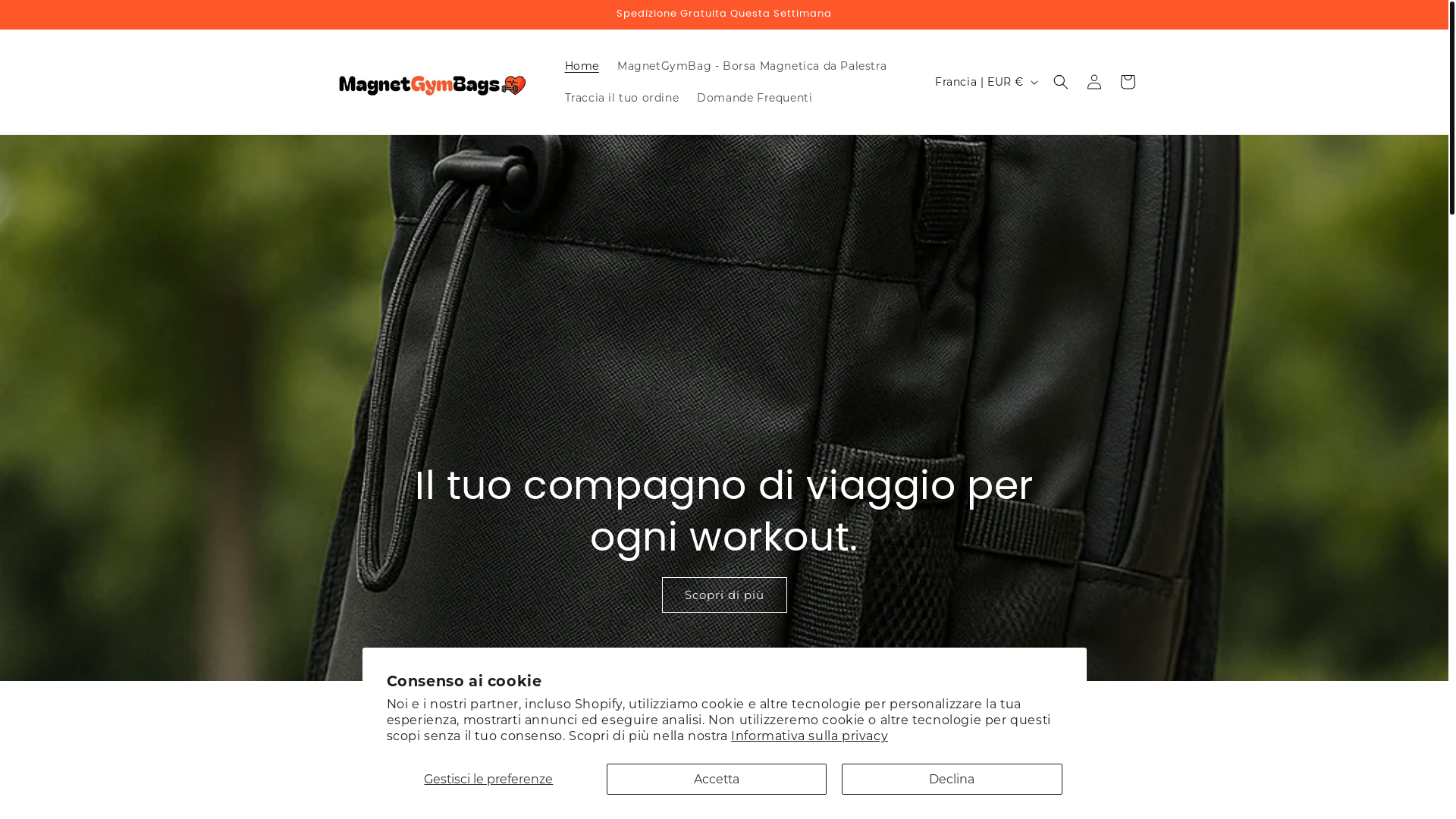 website screenshot of https://magnetgymbags.com/