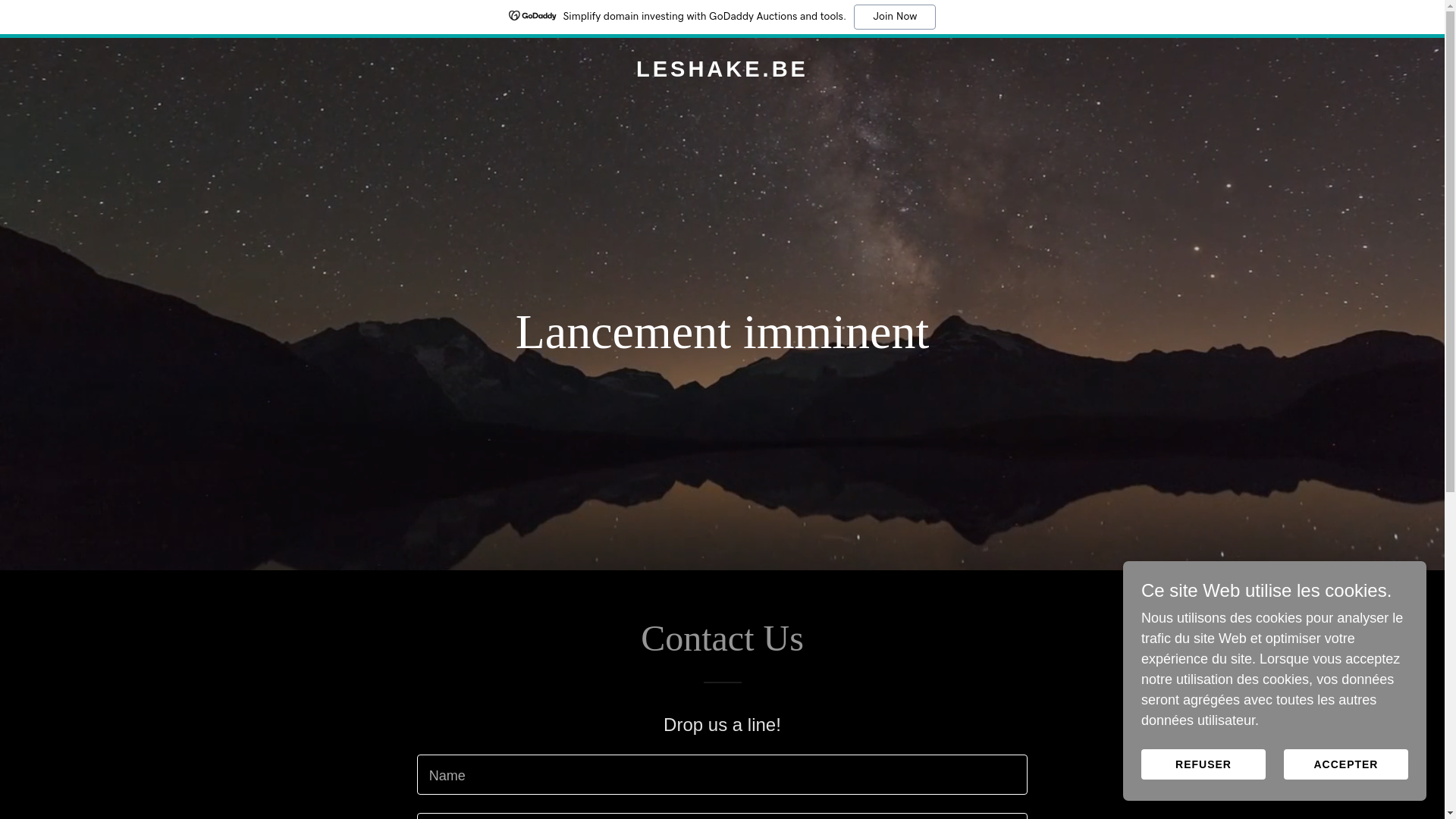 website screenshot of https://leshake.be/