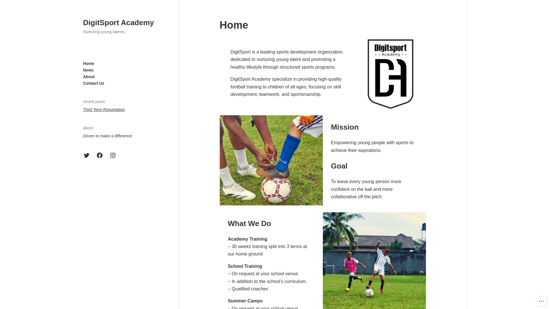 website screenshot of https://digitsportacademy.com