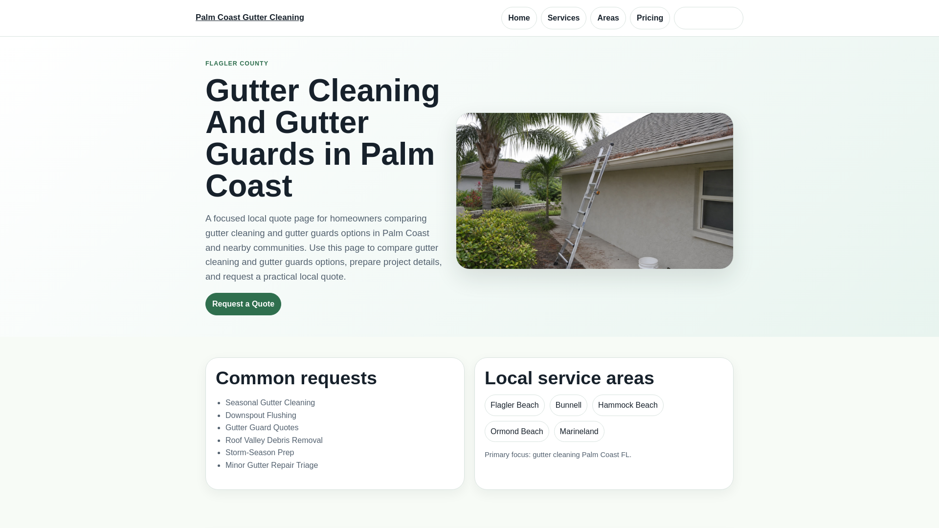 website screenshot of https://palmcoastflguttercleaning.com/