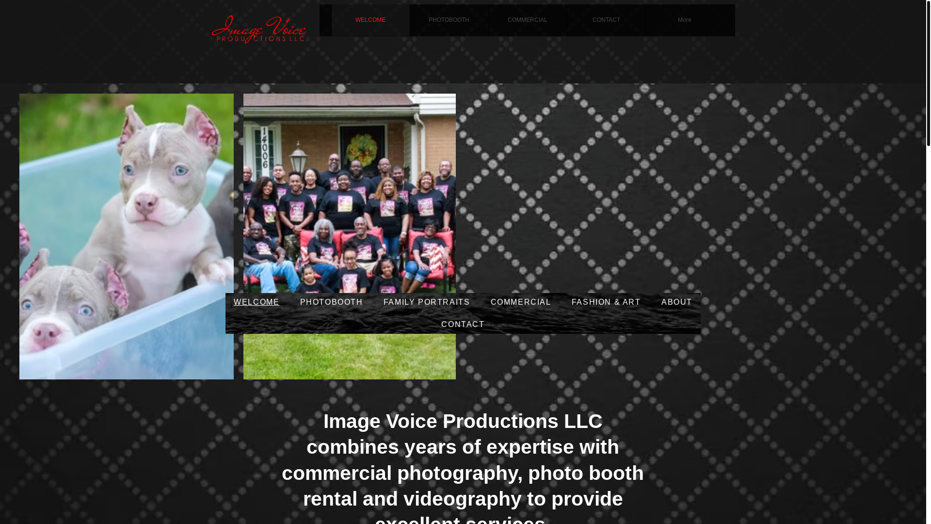 website screenshot of https://imagevoicepd.co/