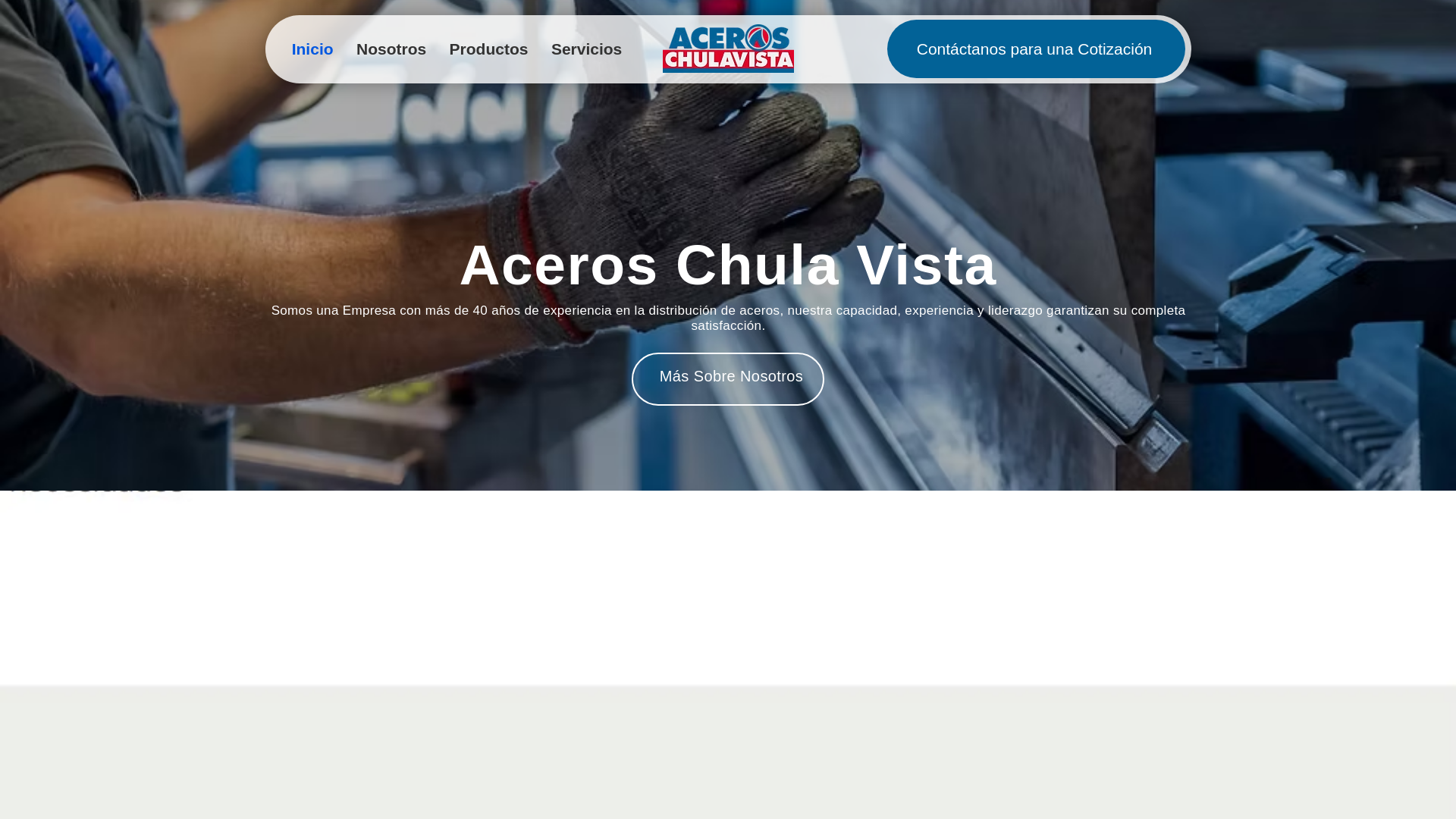 website screenshot of https://aceroschulasvista.com/