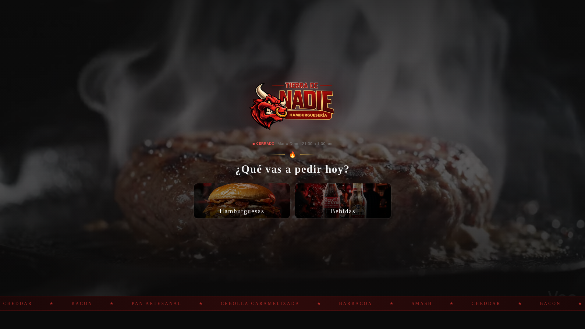 website screenshot of https://tdnoran.com/