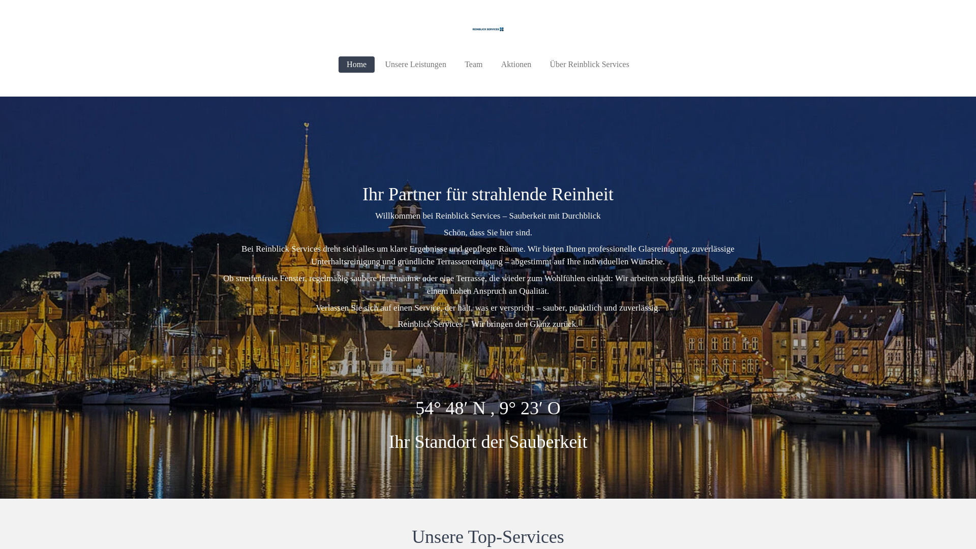website screenshot of https://reinblickservices.de