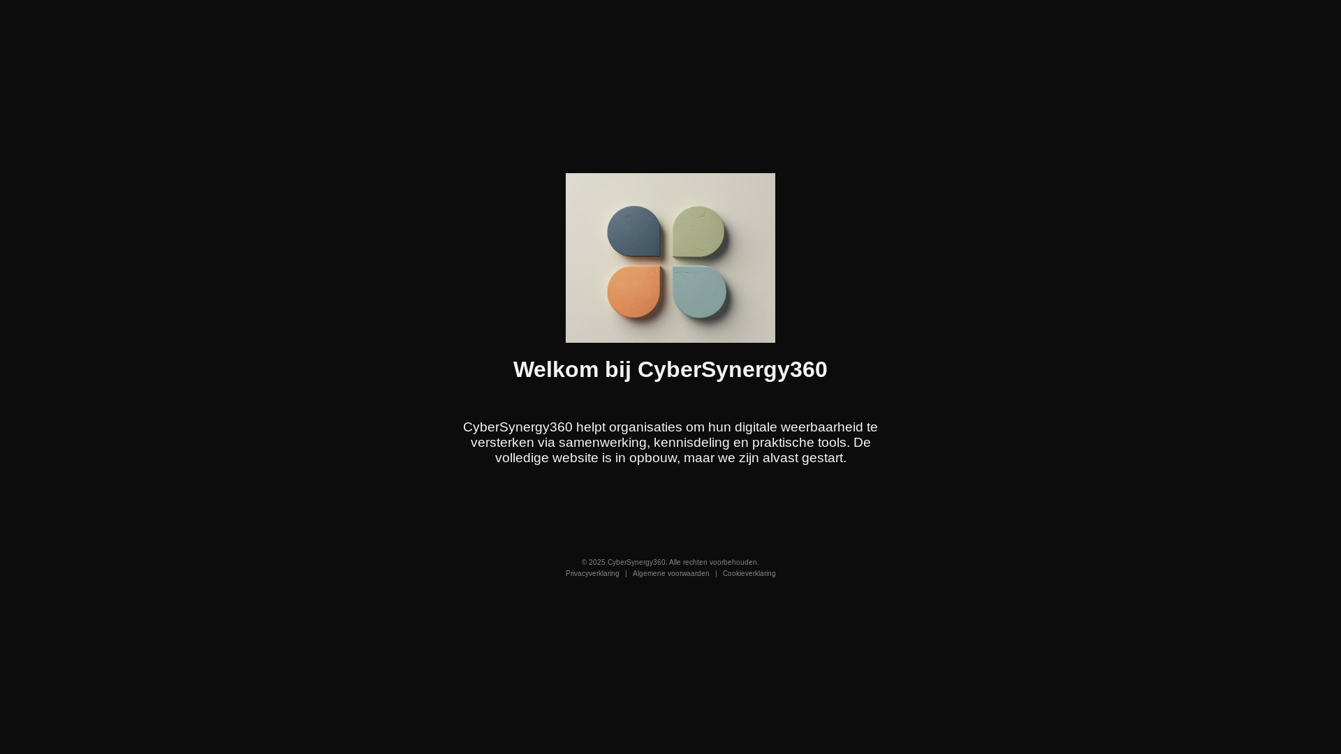 website screenshot of https://cybersynergy.nl/