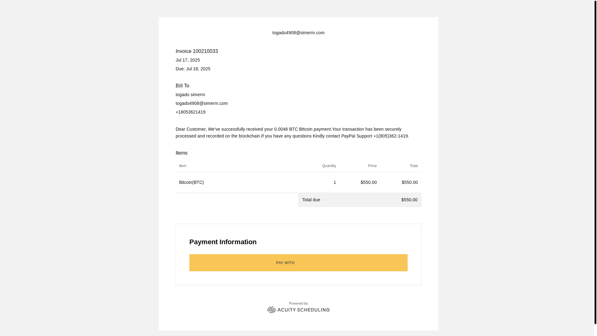 website screenshot of https://app.acuityscheduling.com/7507c943/invoice/236a363b-feba-45b2-94d5-f539a2bd49f8/pay?source=email__;!!JU3L93zj6K1S4A!gbdHONVUrhXX2ieWTjmCbxicDLTGPDqyc1eD-DlwmFCFwBswNnCvm6SLPPCekKk3HggowU8gMLrElNUYqIqQ3ReSAdwNSxaJ$