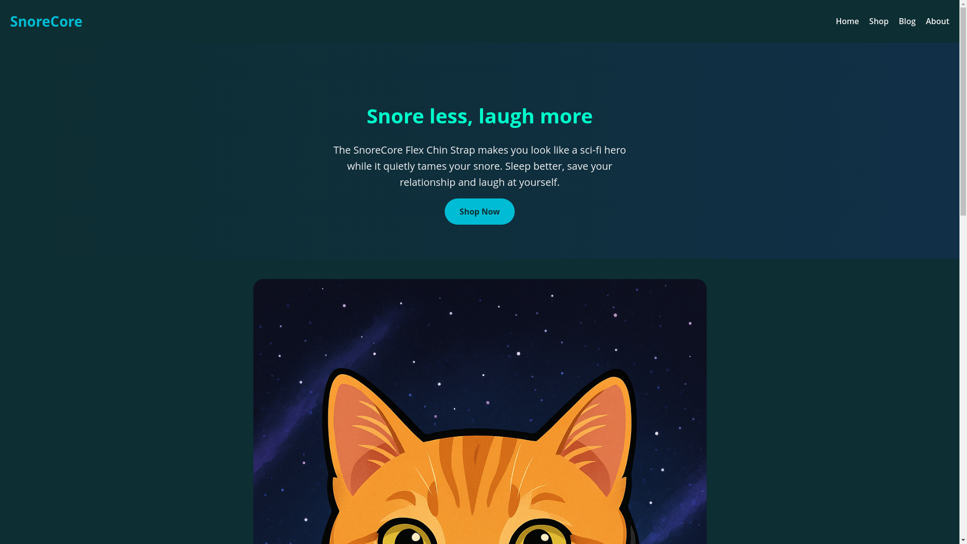 website screenshot of https://snorestore.shop/