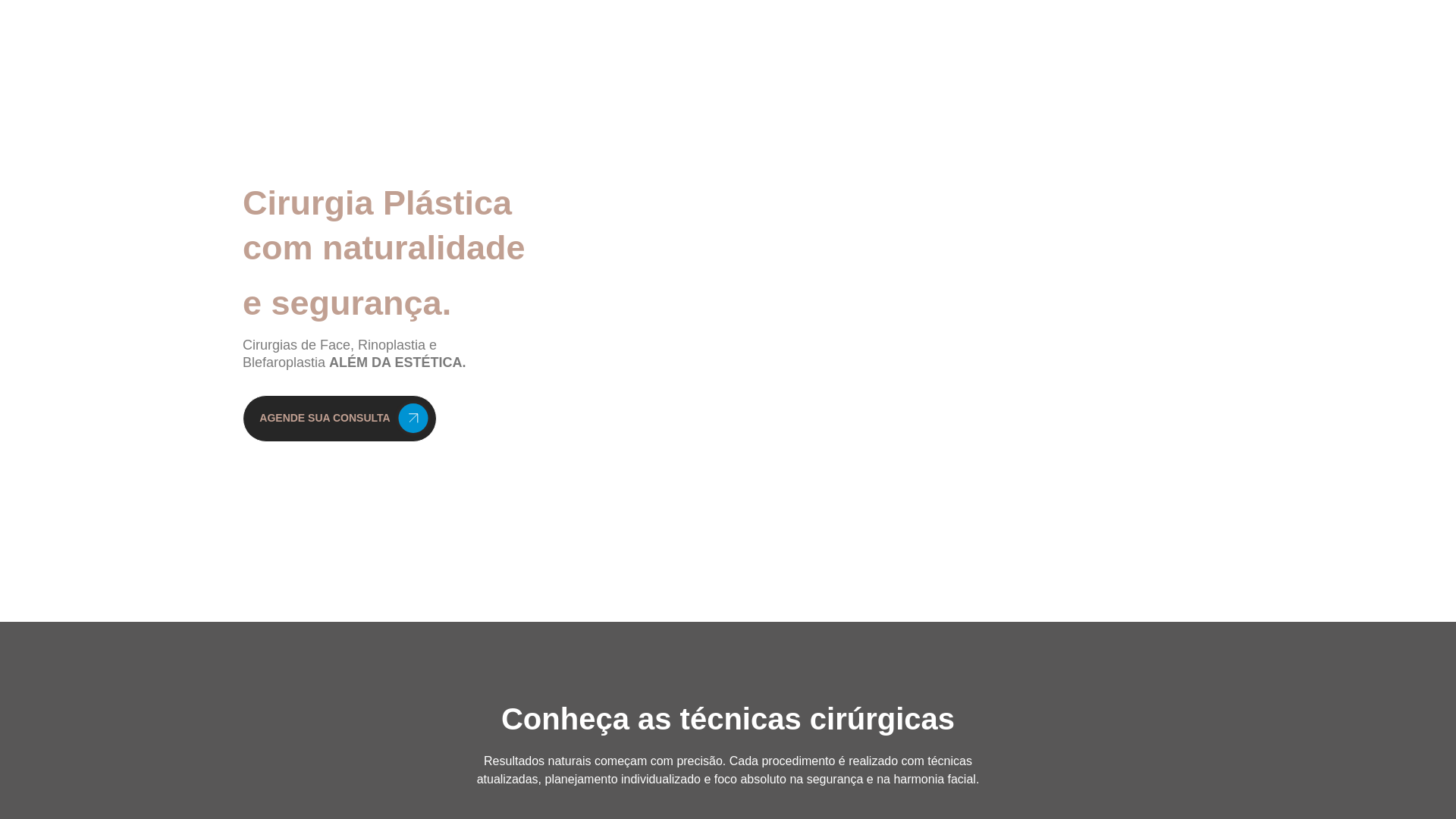 website screenshot of https://carolinawelter.com.br/