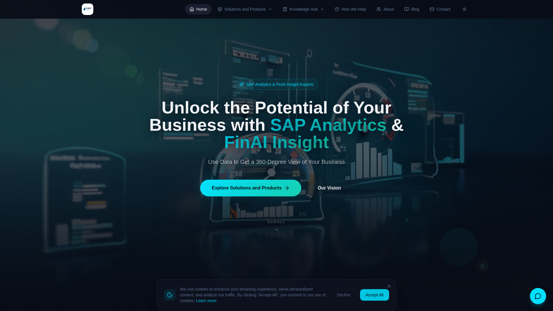 website screenshot of https://finbpcanalytics.com/