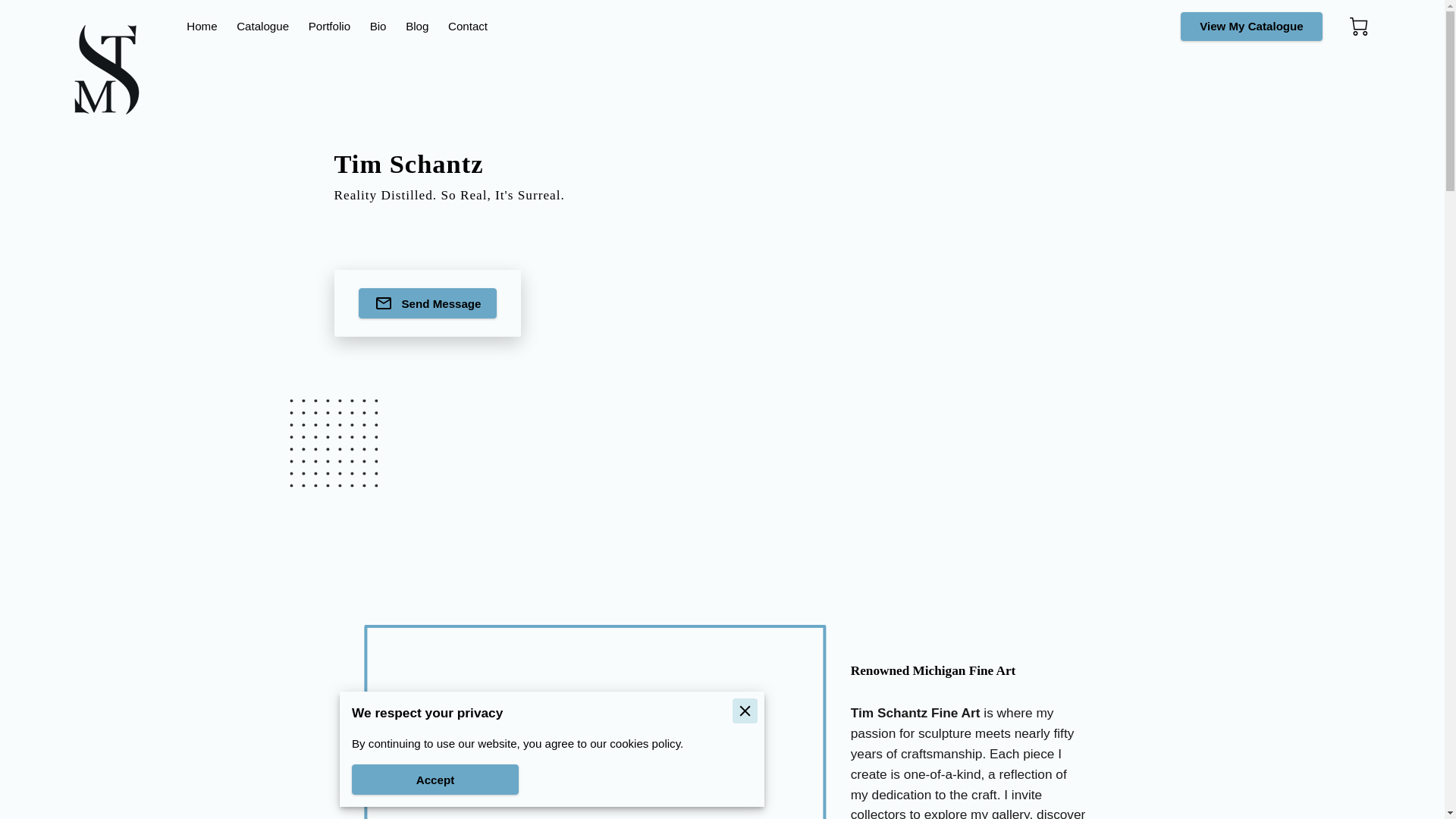 website screenshot of https://timschantz.com/