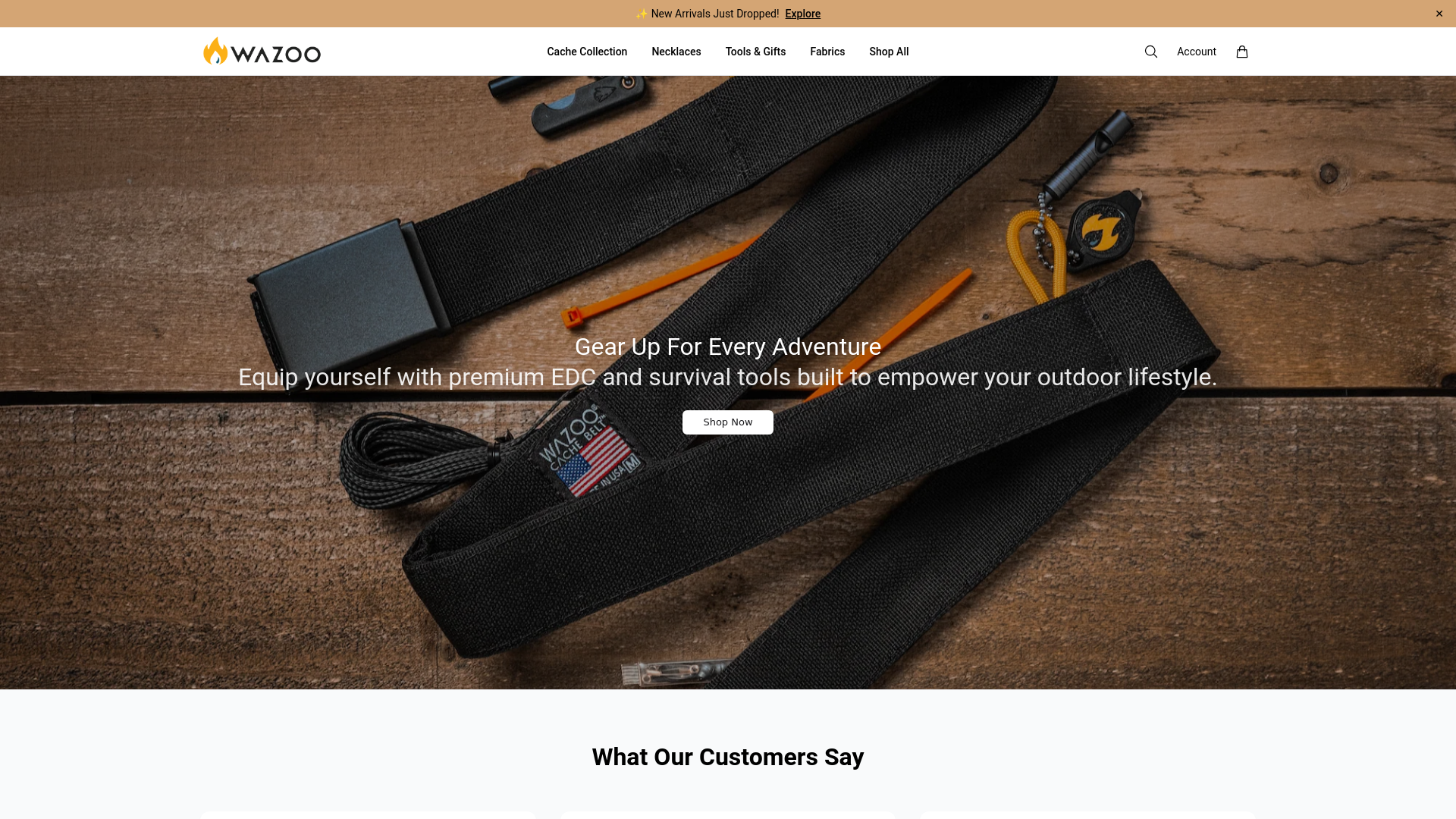 website screenshot of https://getwazoogear.shop