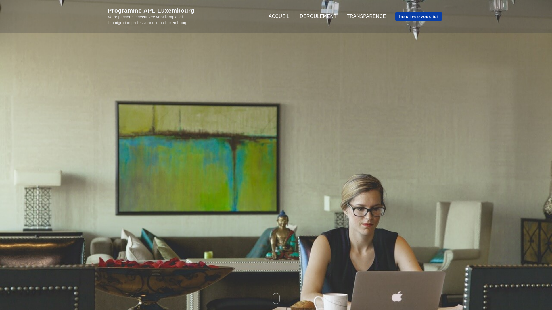 website screenshot of https://programmeapl.com/