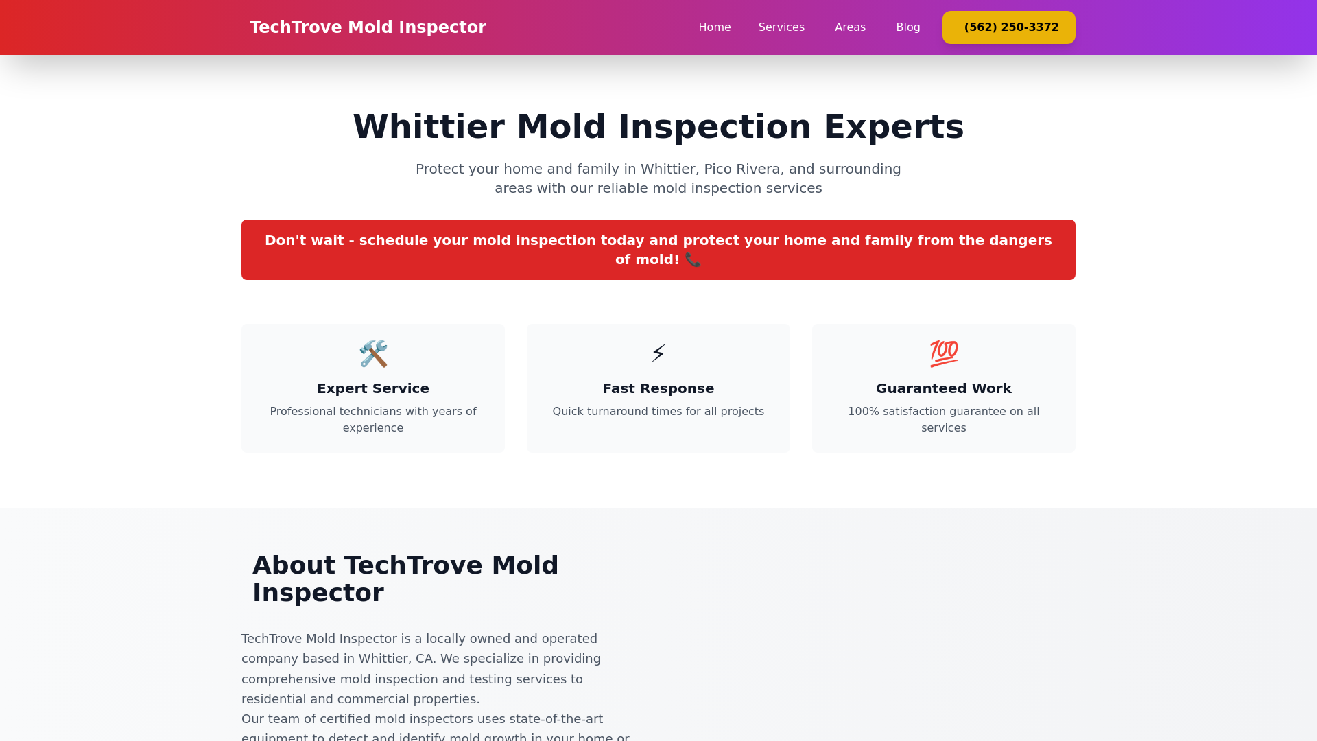 website screenshot of https://techtrovemoldinspector.pages.dev/