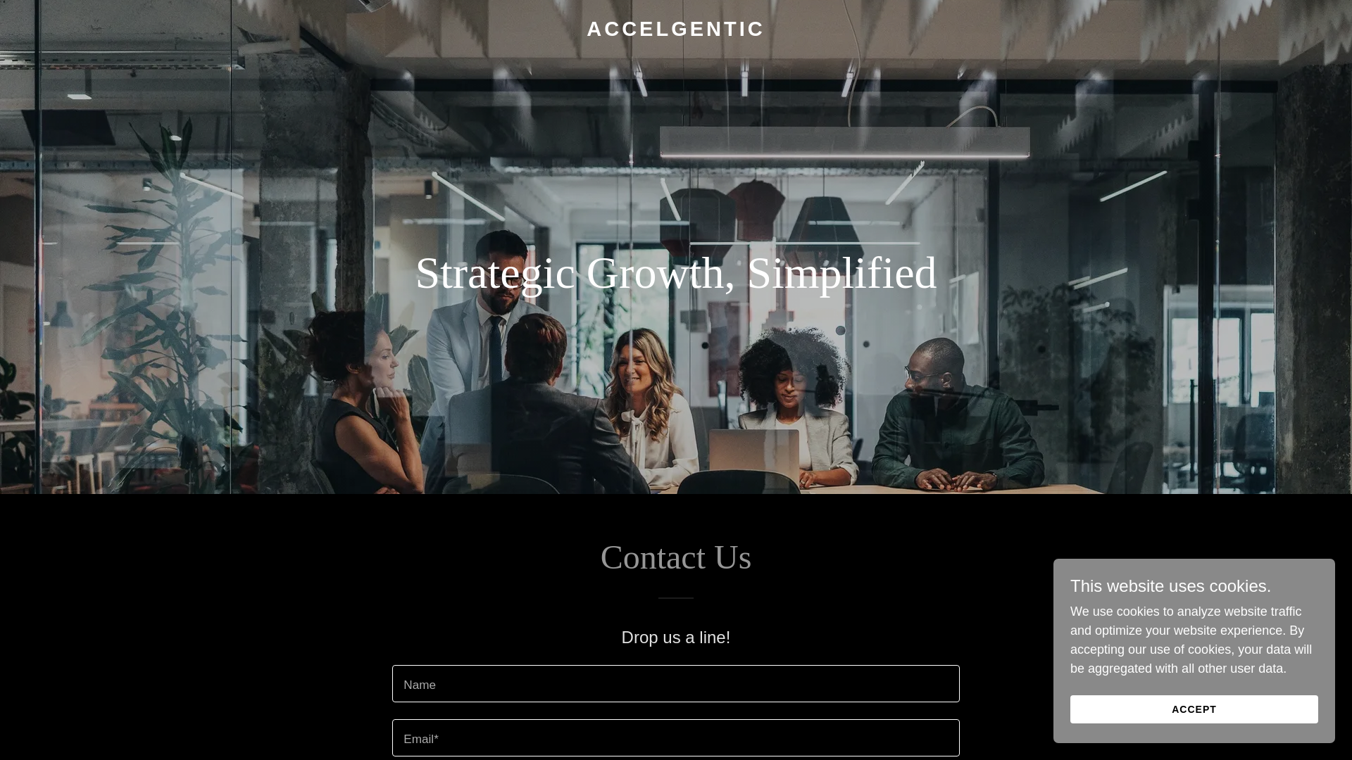 website screenshot of https://accelgentic.ai/