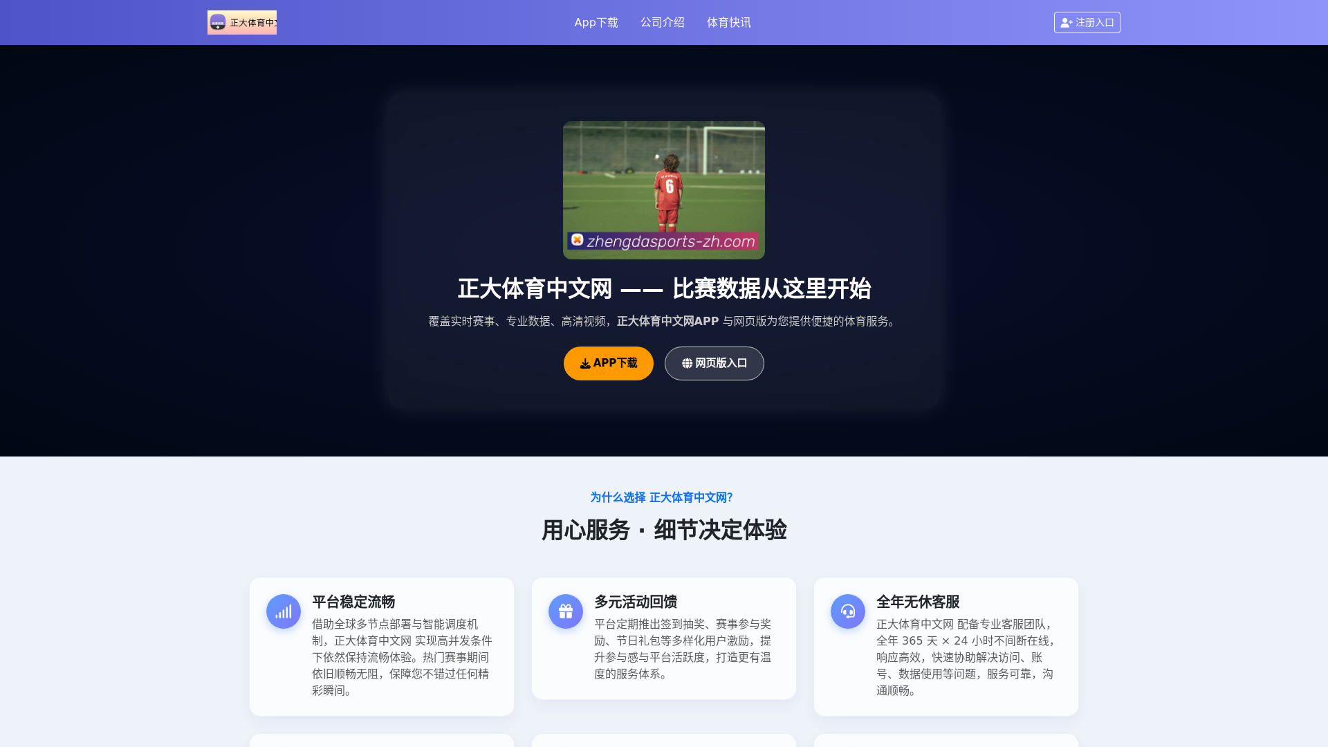 website screenshot of https://zhengdasports-zh.com