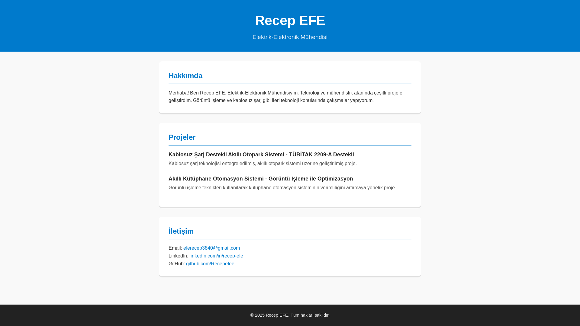 website screenshot of https://recepefe.com.tr/
