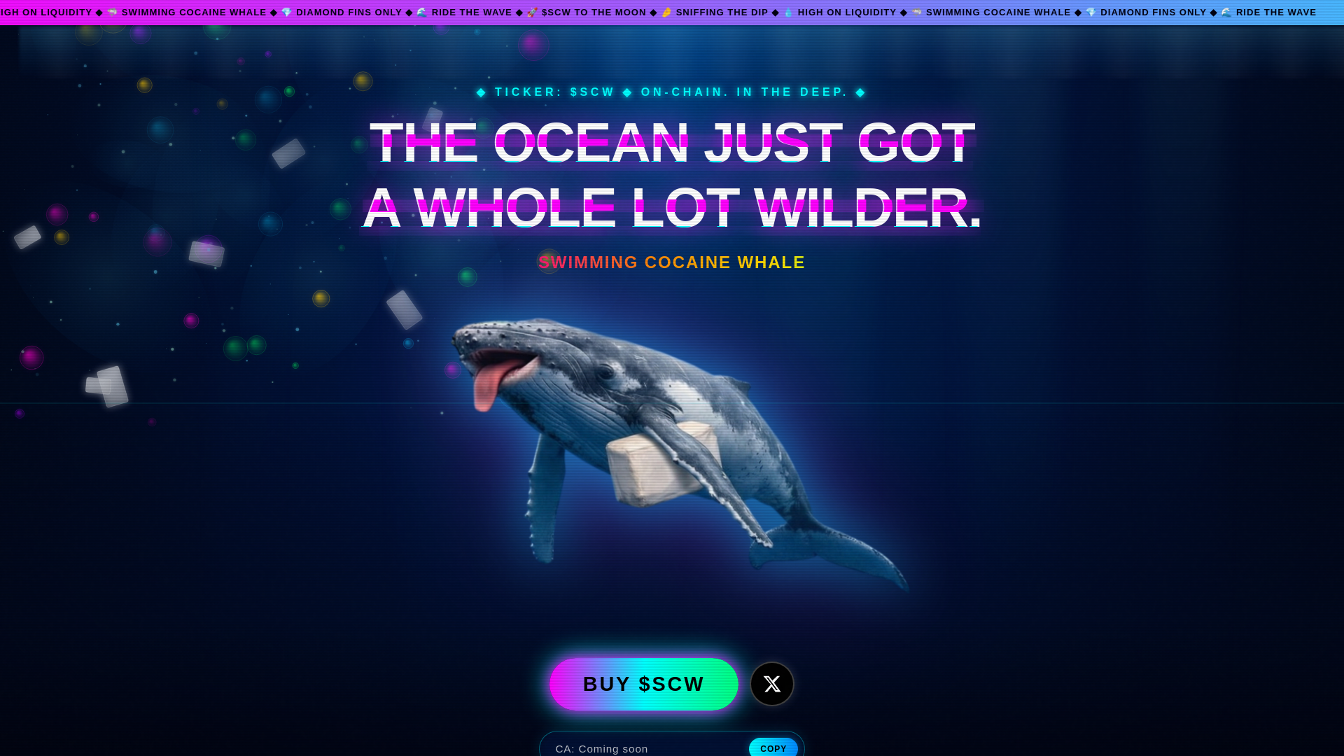 website screenshot of https://cocawhale.xyz/