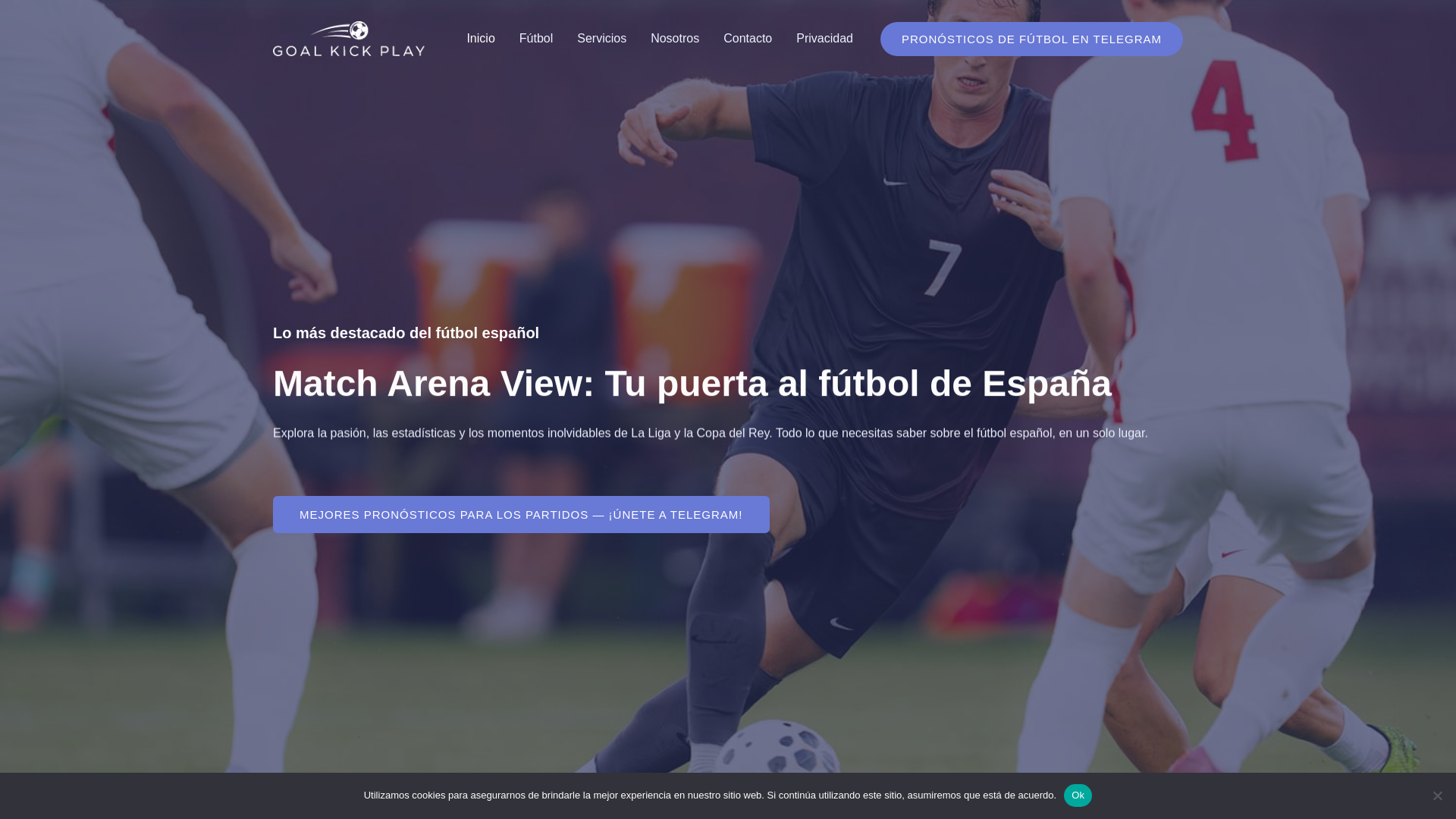 website screenshot of https://matcharenaview.site/