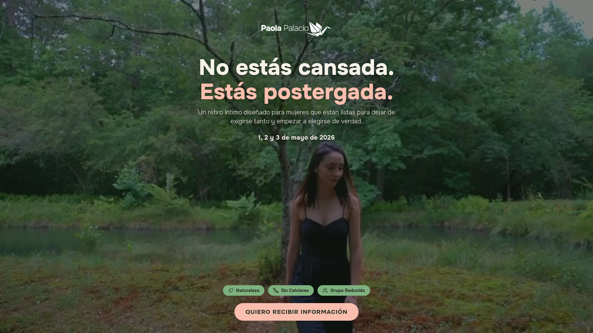 website screenshot of https://paolapalacio.us/