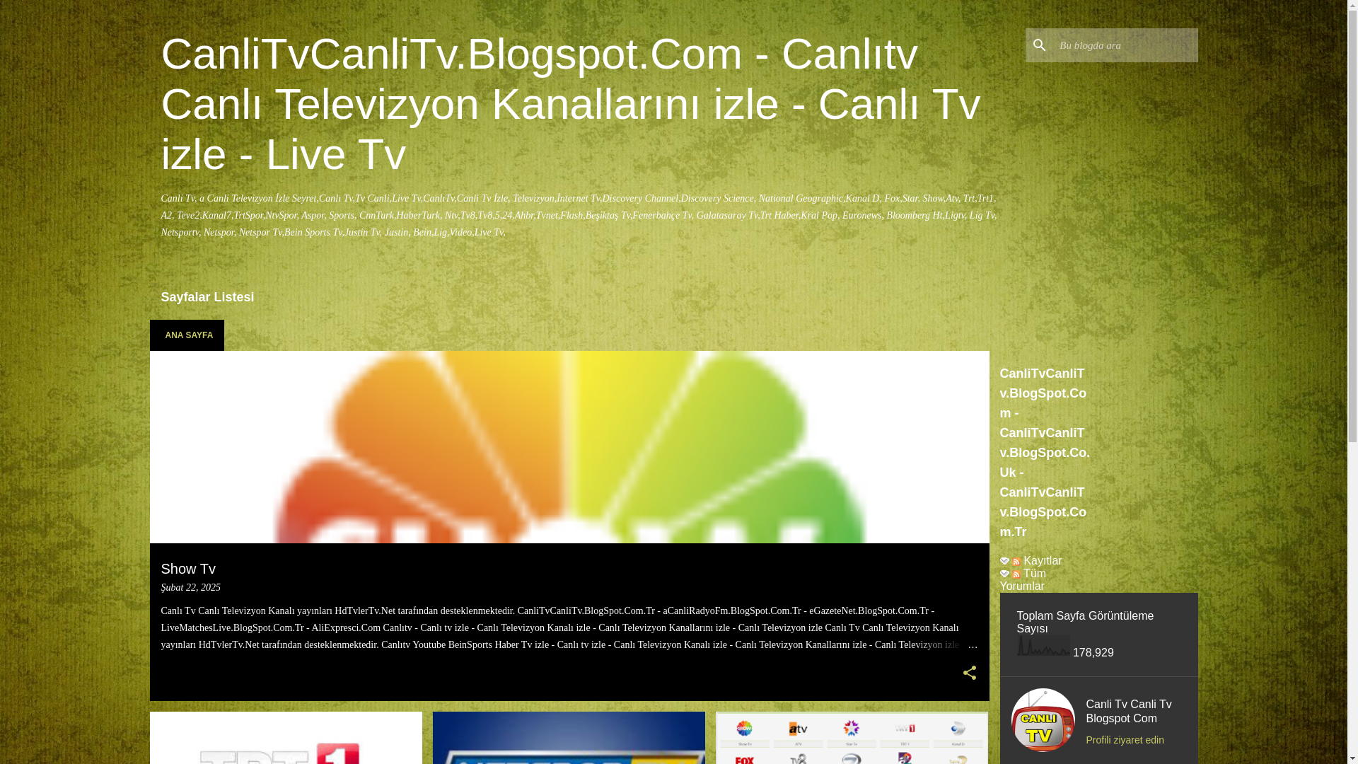 website screenshot of https://canlitvcanlitv.blogspot.com.tr