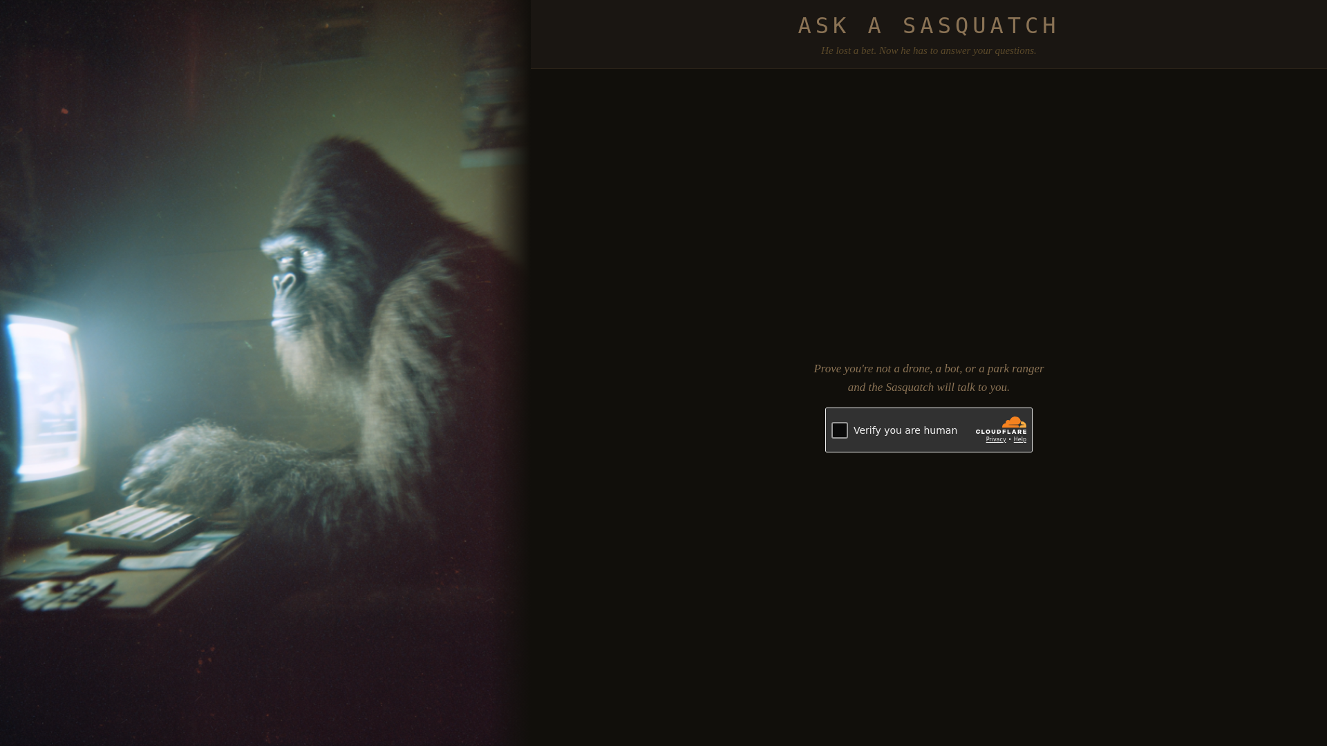 website screenshot of https://asksasquatch.com/