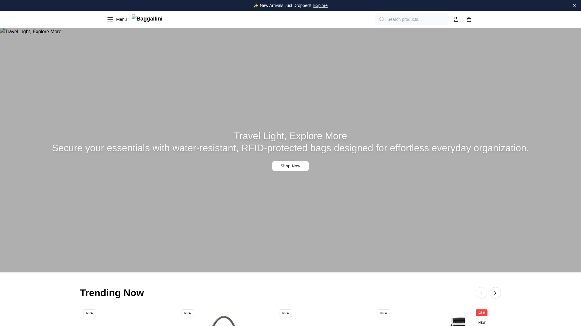 website screenshot of https://baggallinidirect.shop/