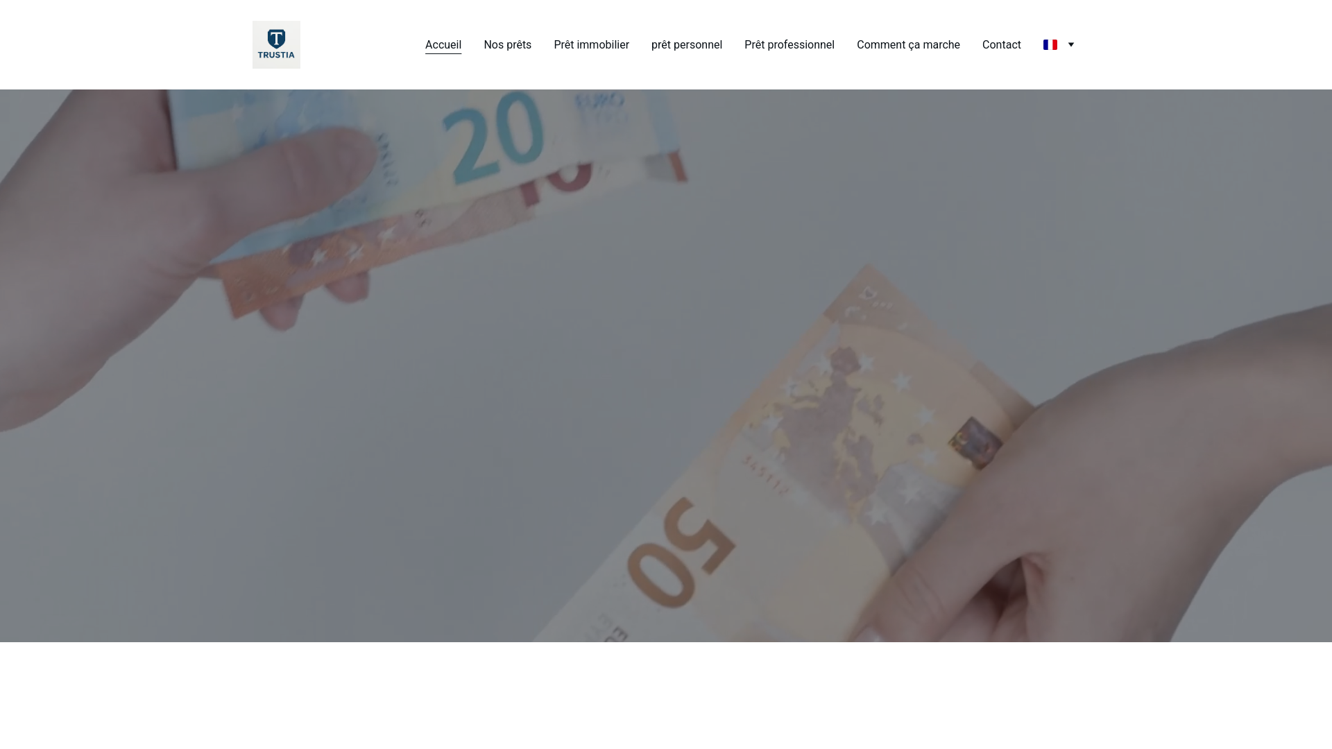 website screenshot of https://trustiafinance.com/