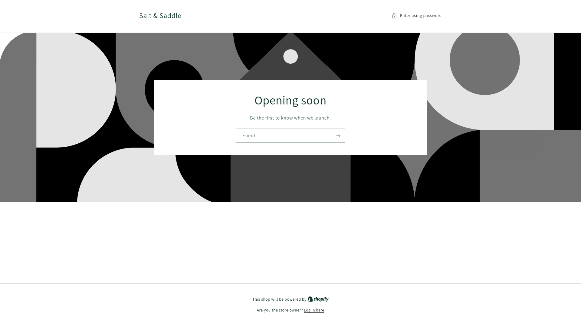 website screenshot of https://saltysaddle.co