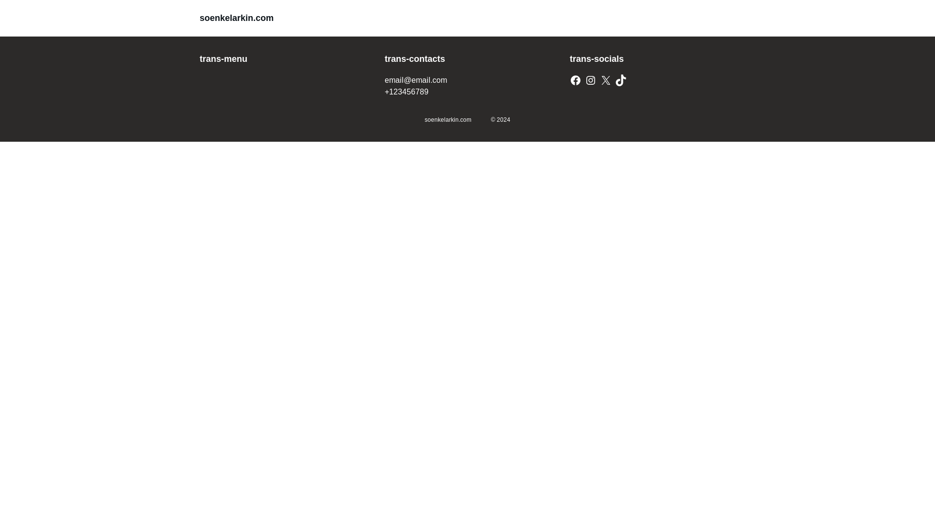 website screenshot of https://soenkelarkin.com/