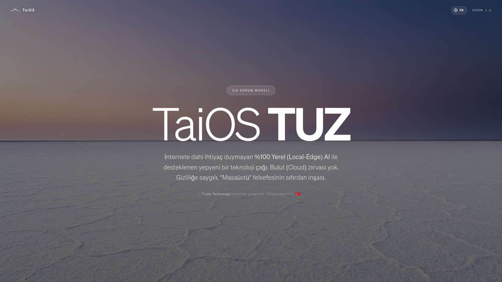 website screenshot of https://taios.run/