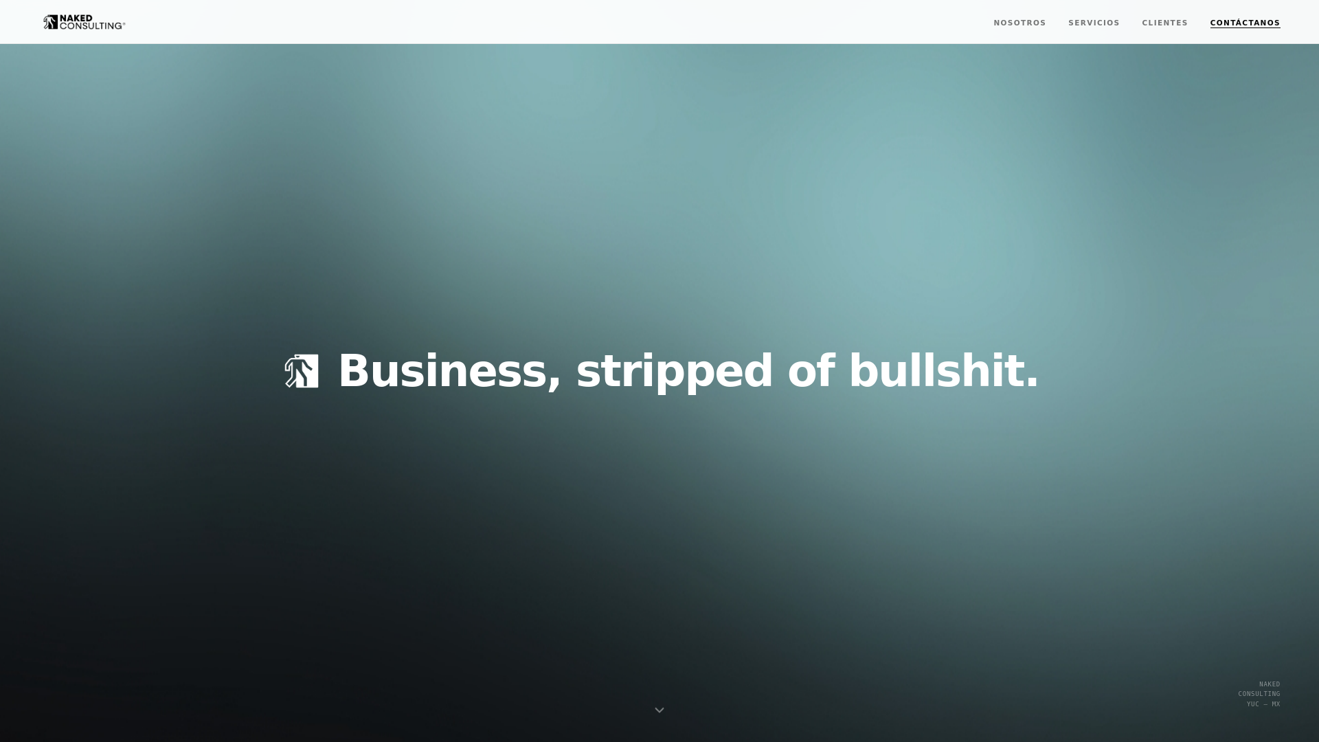website screenshot of https://naked-consulting.pages.dev/