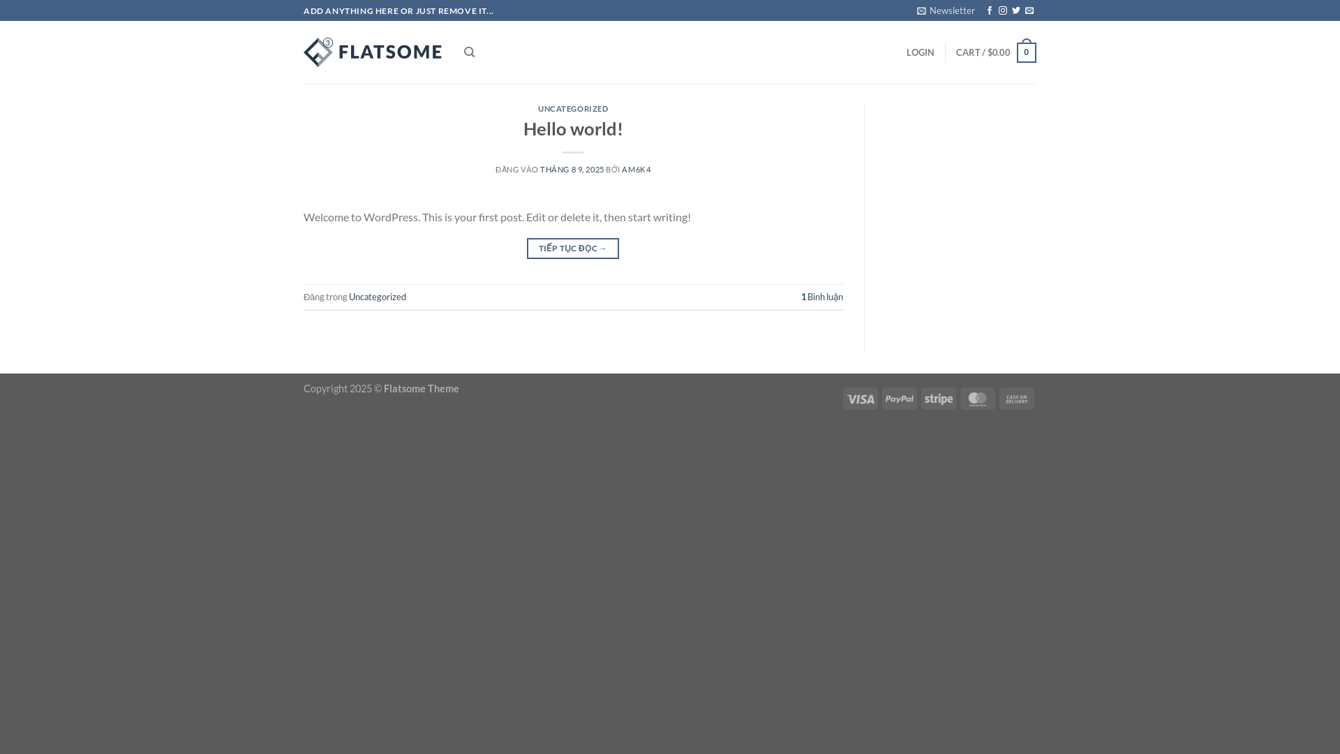 website screenshot of https://thekittyvibe.com/