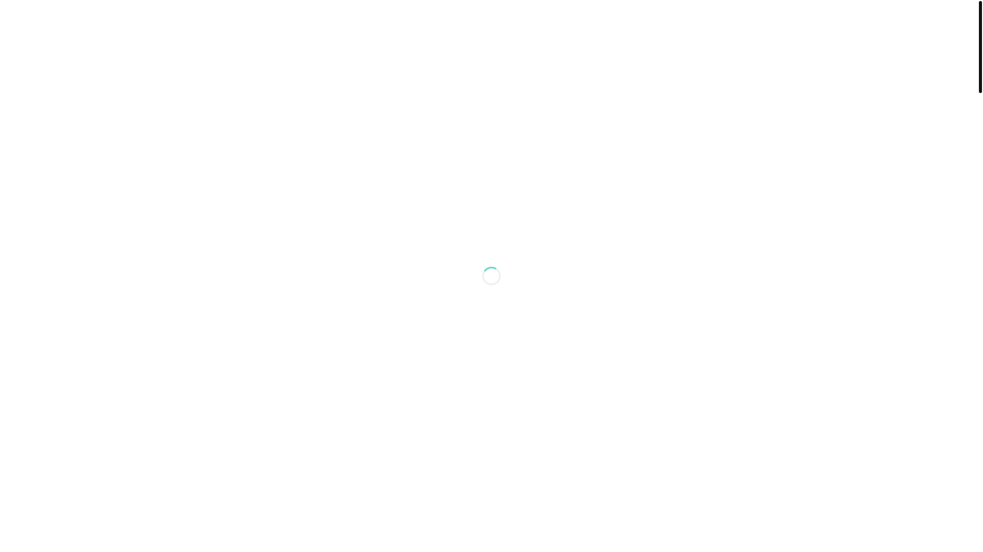 website screenshot of https://electro-flow.store/