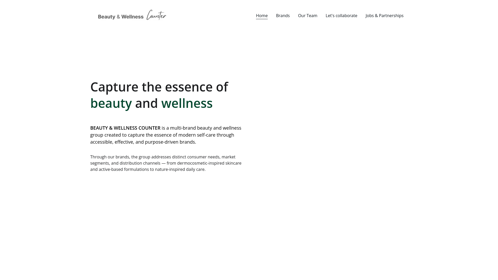 website screenshot of https://bwcounter.com/