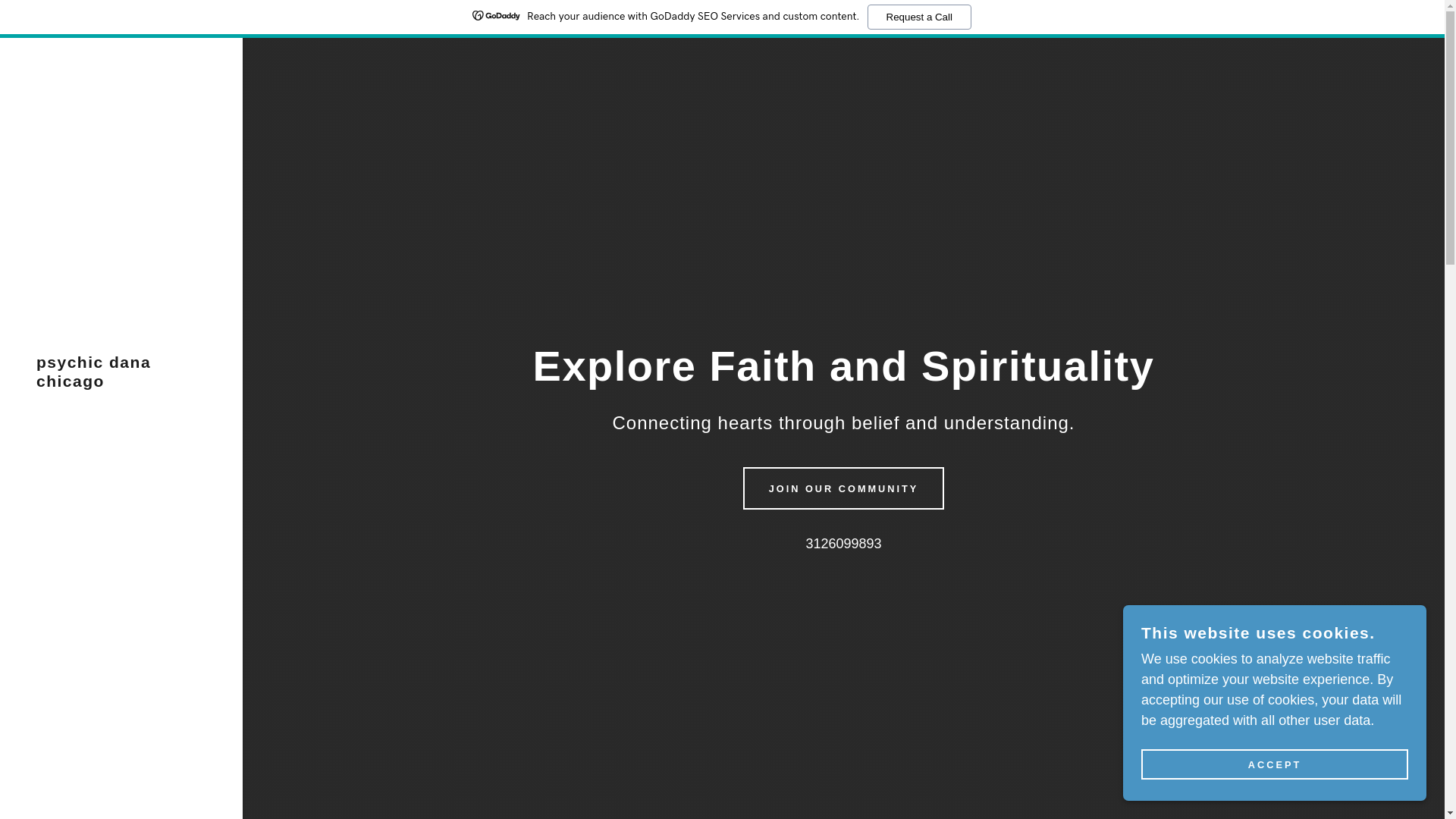 website screenshot of https://psychicdanachicago.com/
