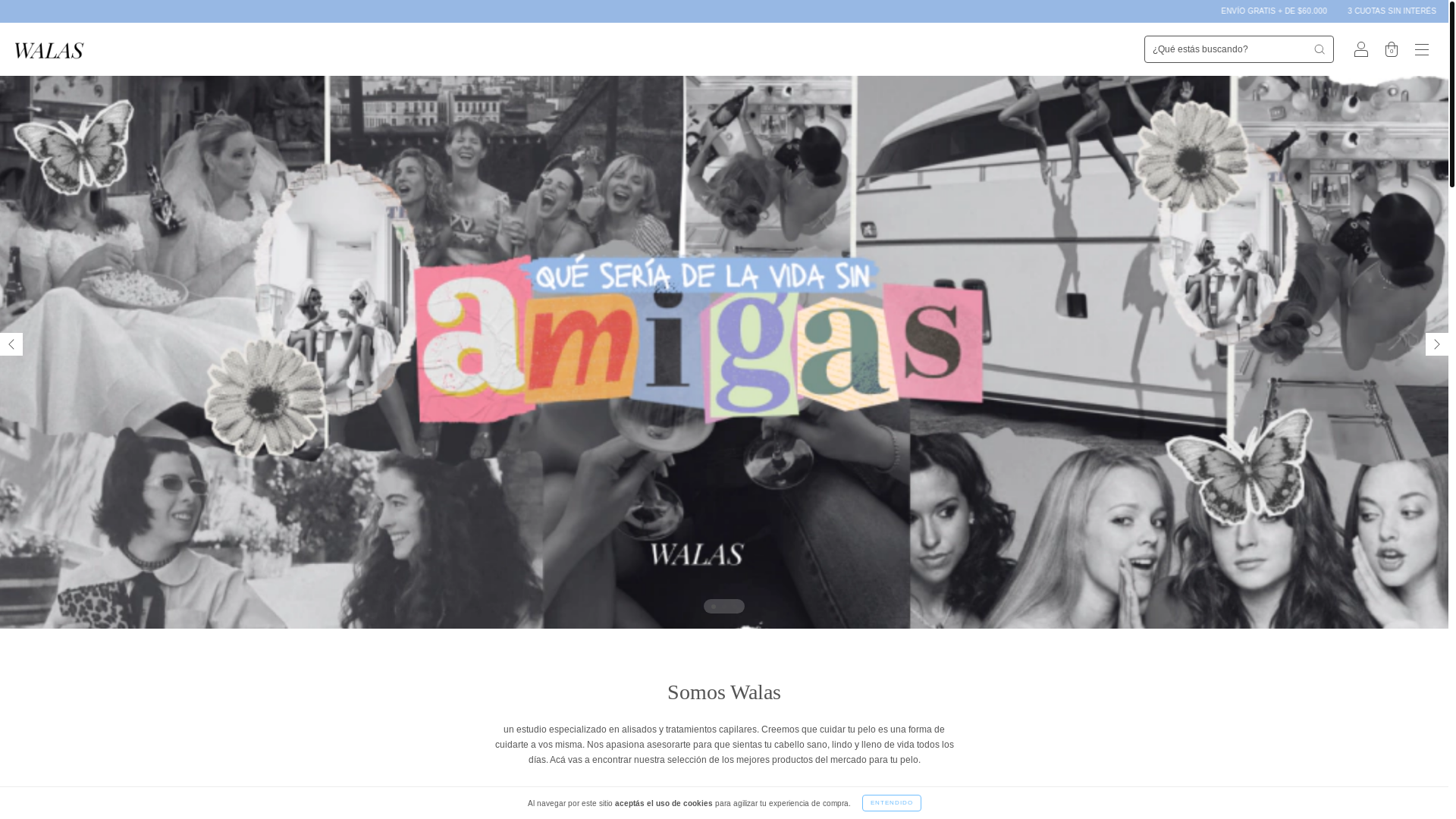 website screenshot of https://walas.ar/