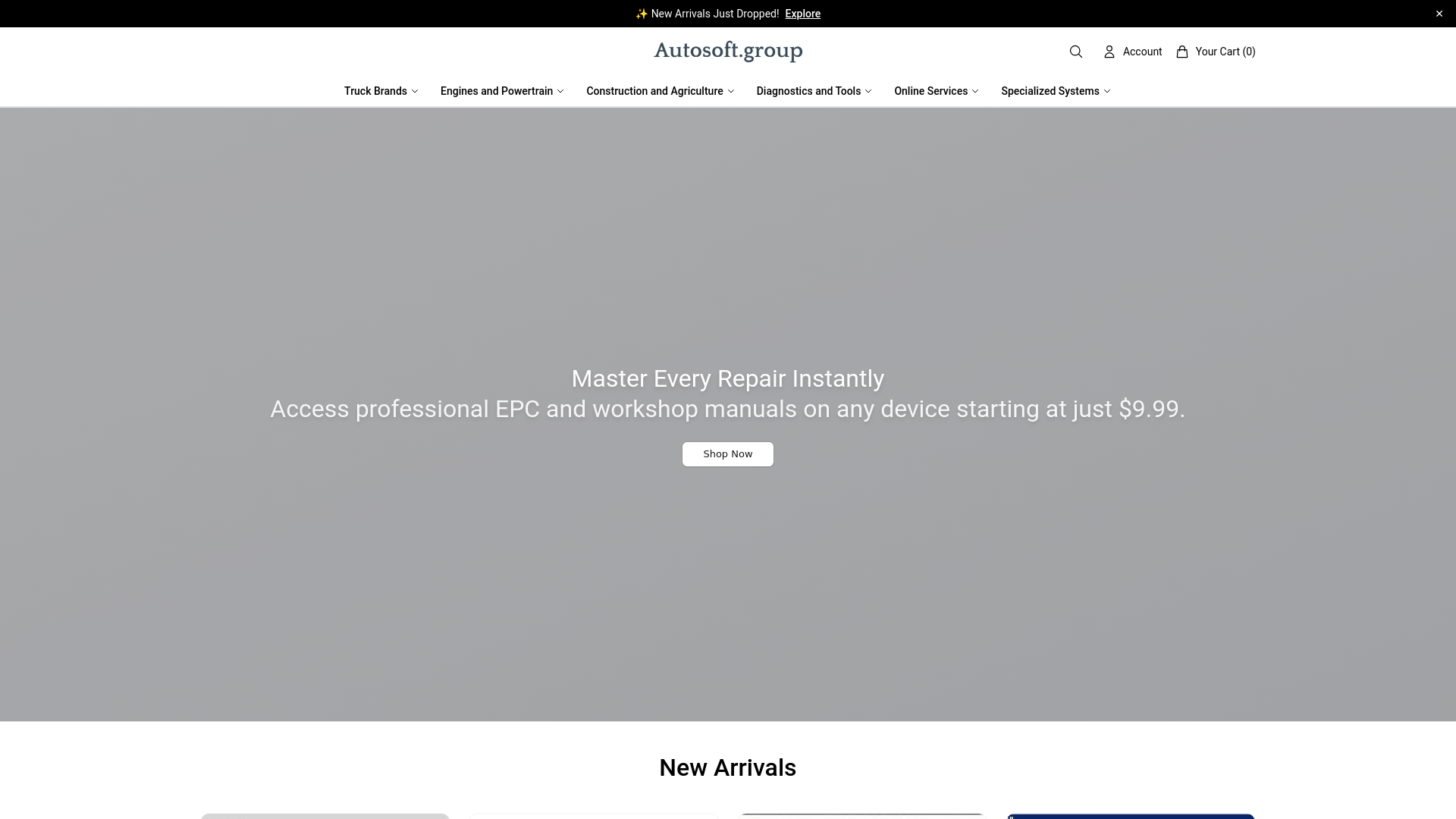 website screenshot of https://shopautosoft.shop