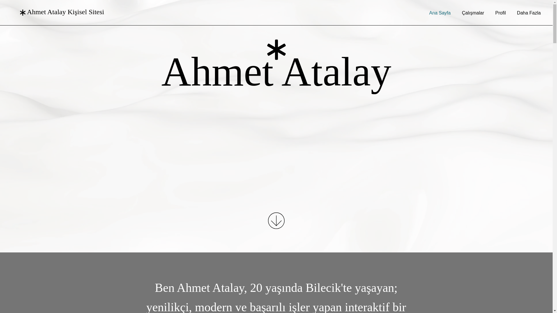 website screenshot of https://ahmetatalay.co/