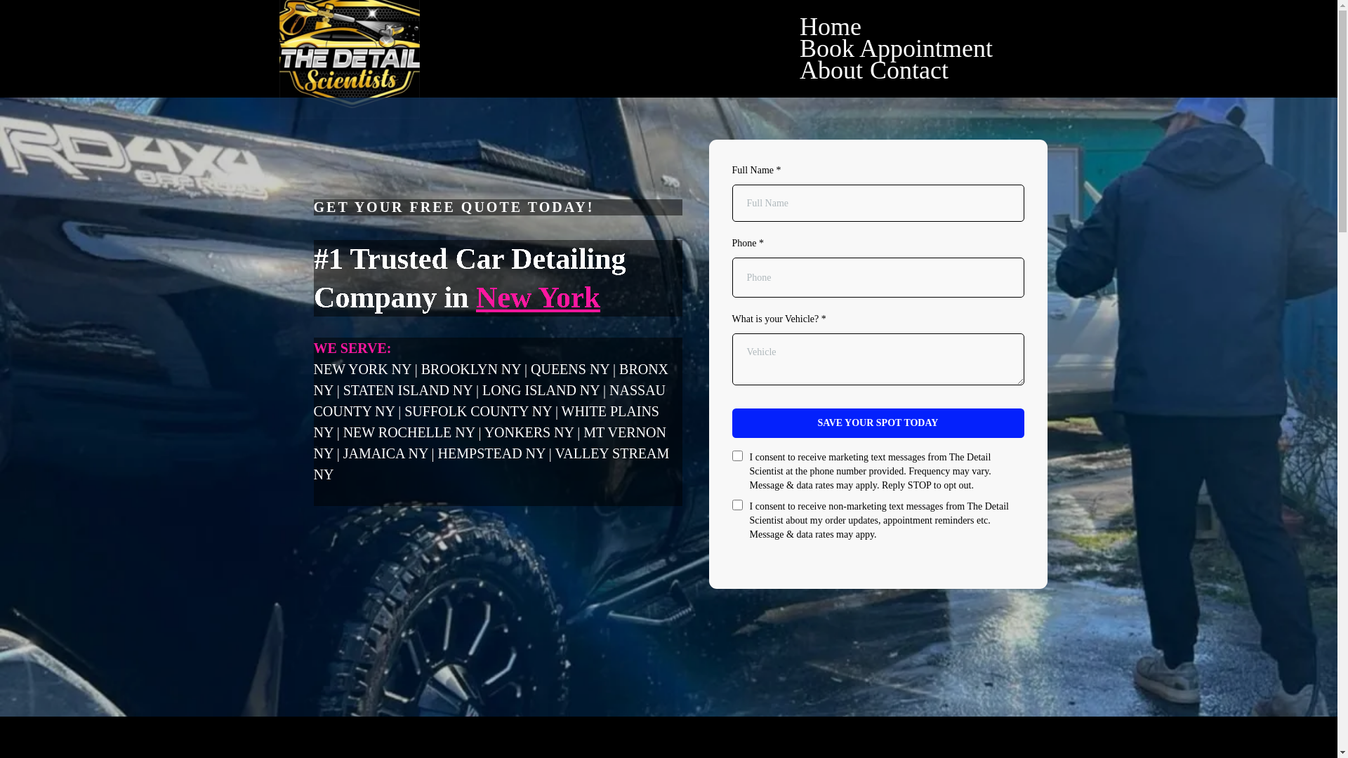 website screenshot of https://thedetailscientist.org/
