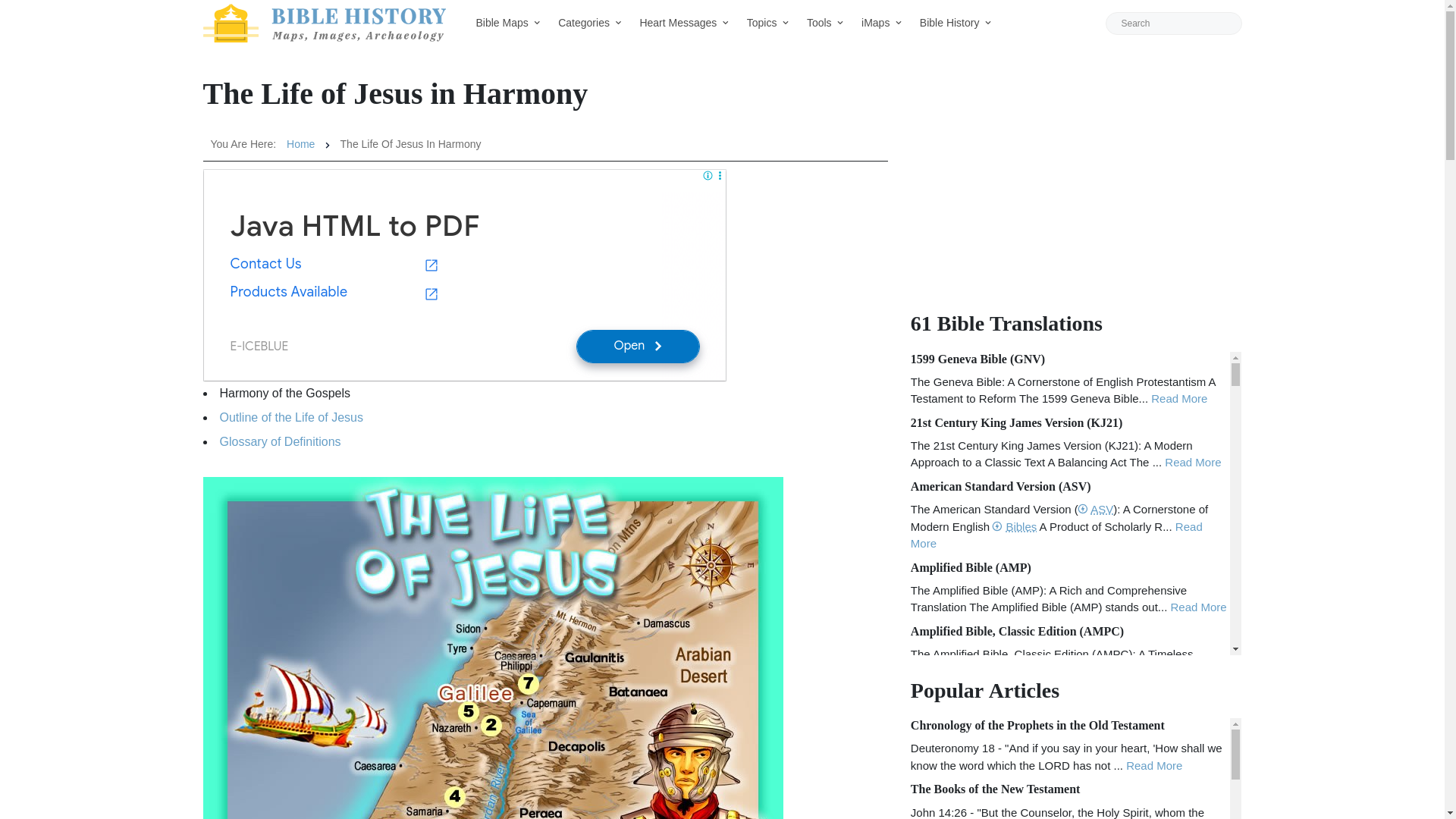 website screenshot of https://bible-history.com/jesus
