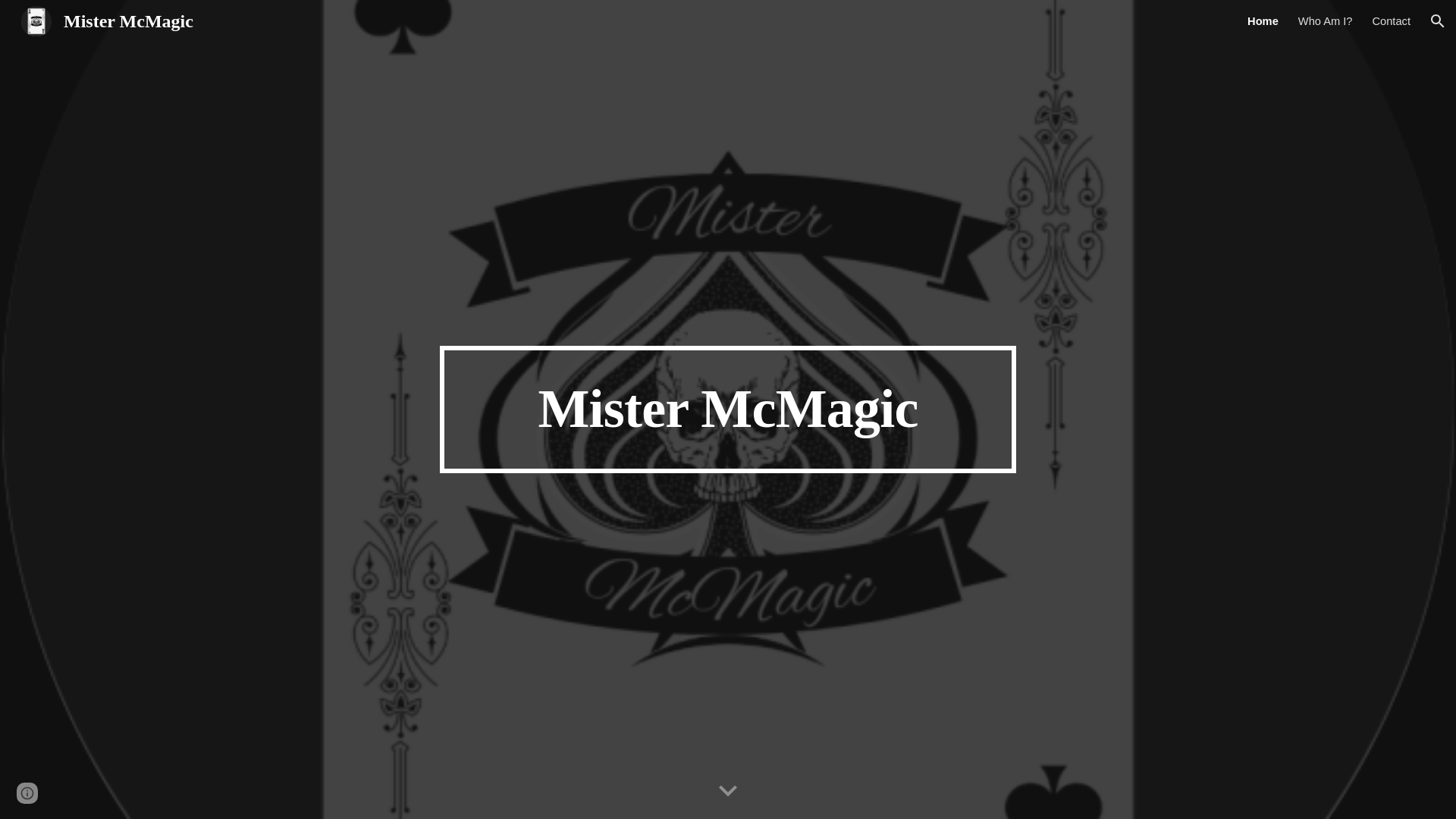 website screenshot of https://mistermcmagic.com/